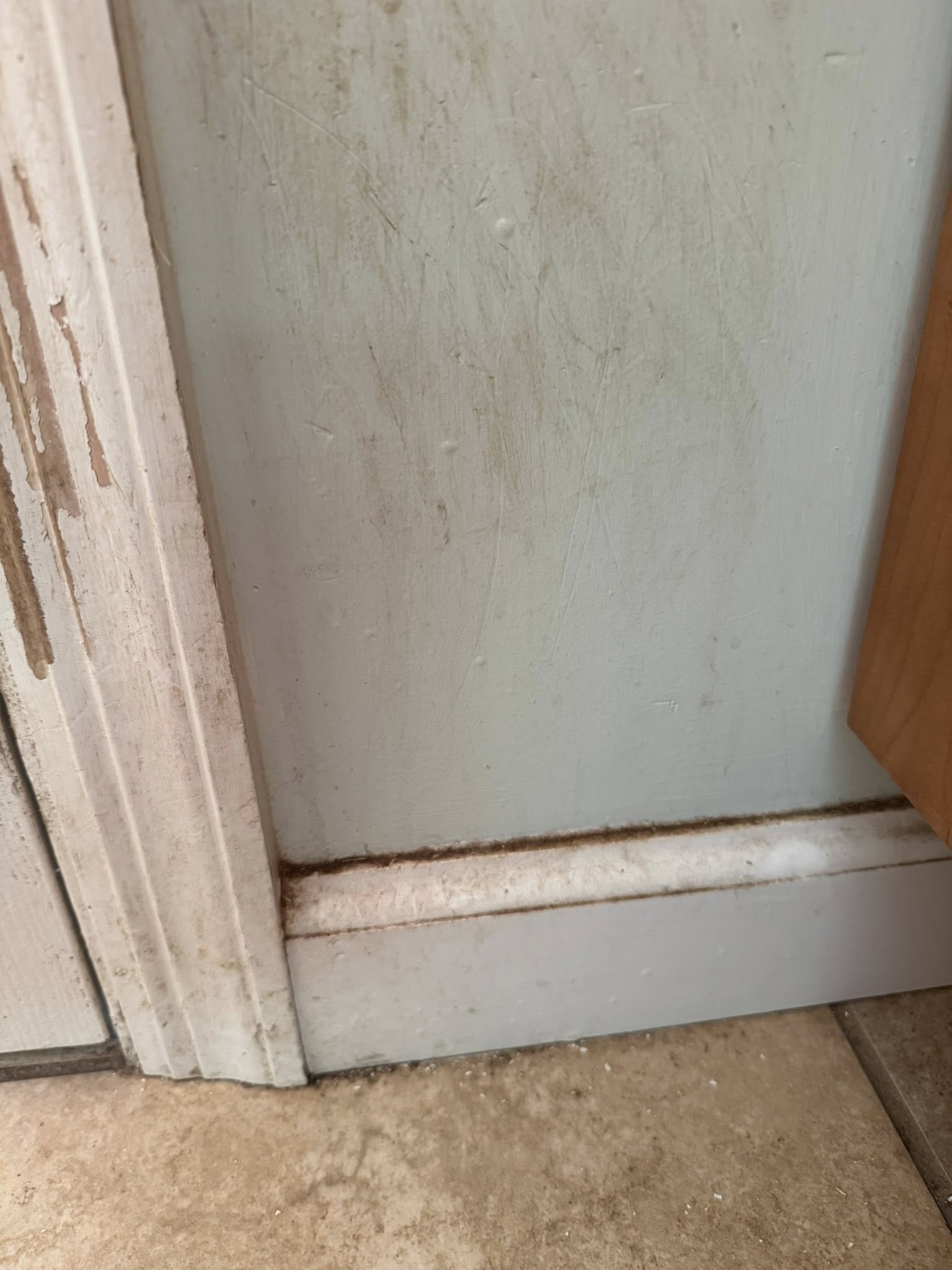 amy's cleaning services