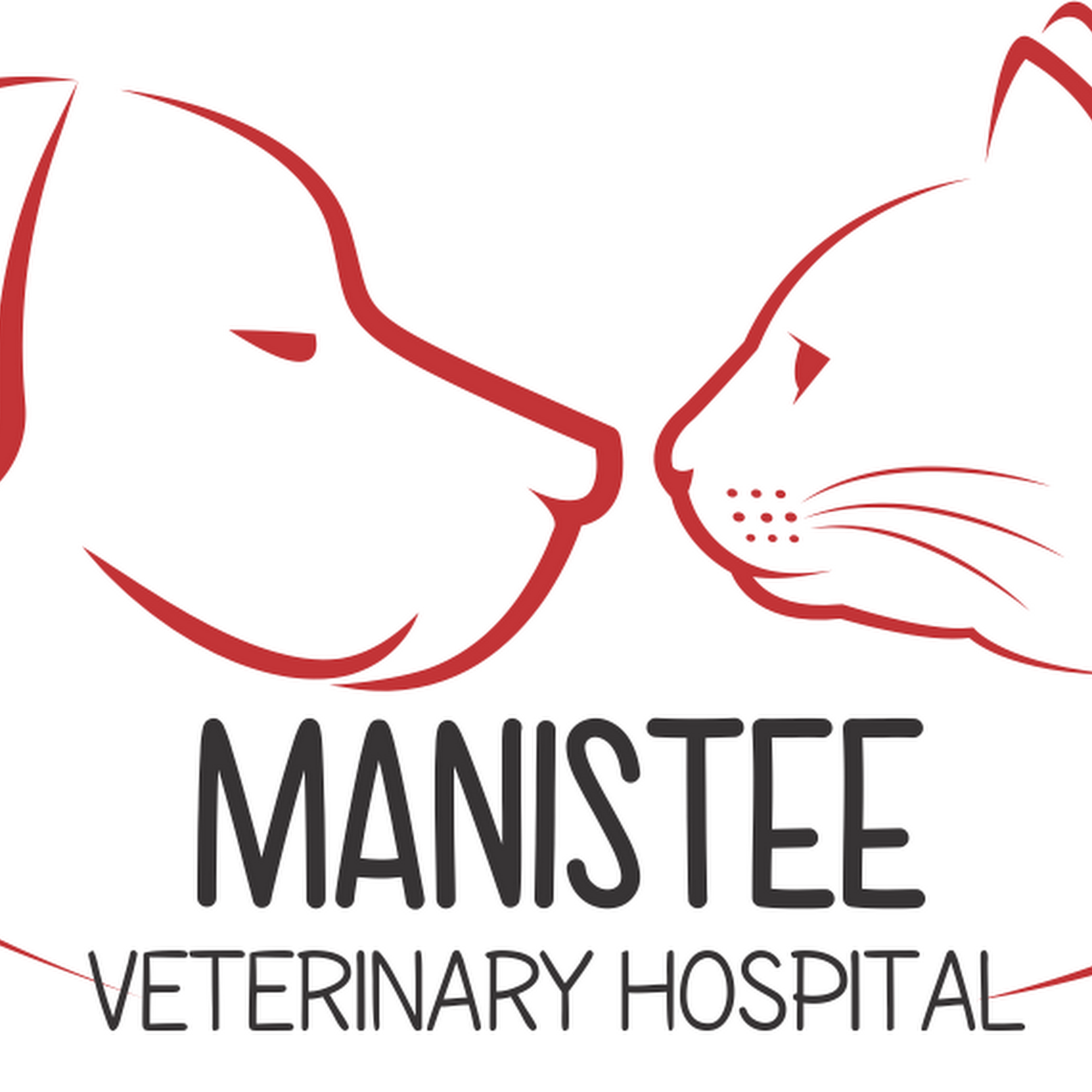 Manistee Veterinary Hospital Manistee