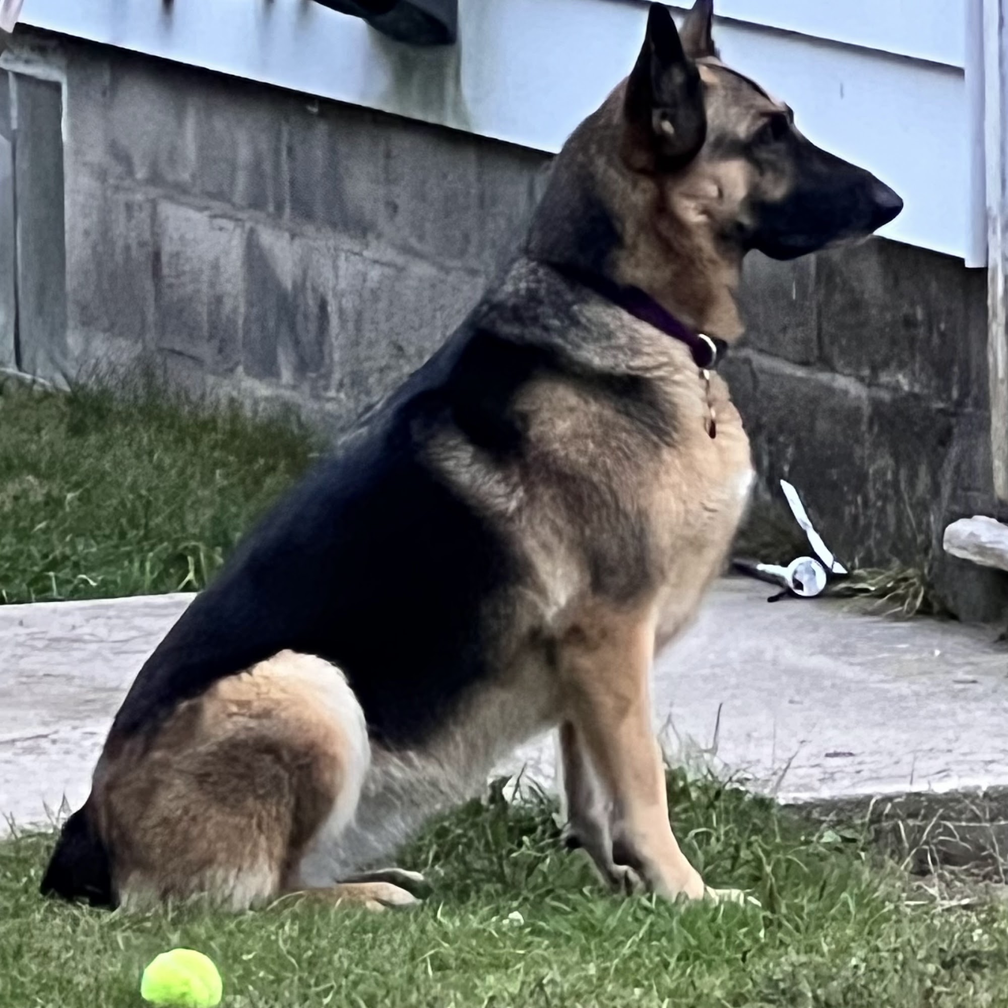 Thompson Veterinary Clinic Manistique