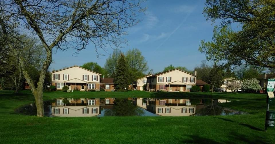 Maple Landscaping & Lawn Services