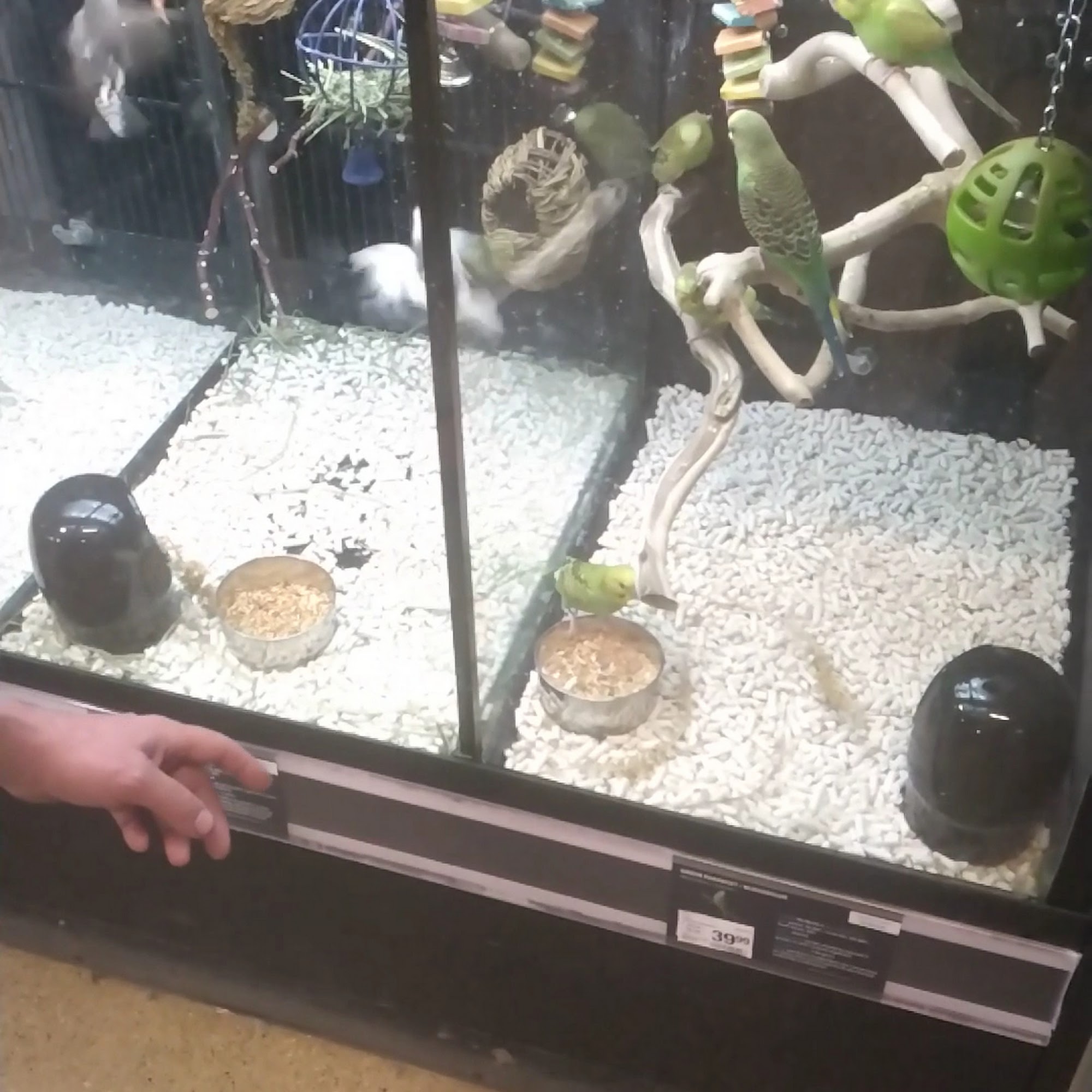PetSmart Marquette