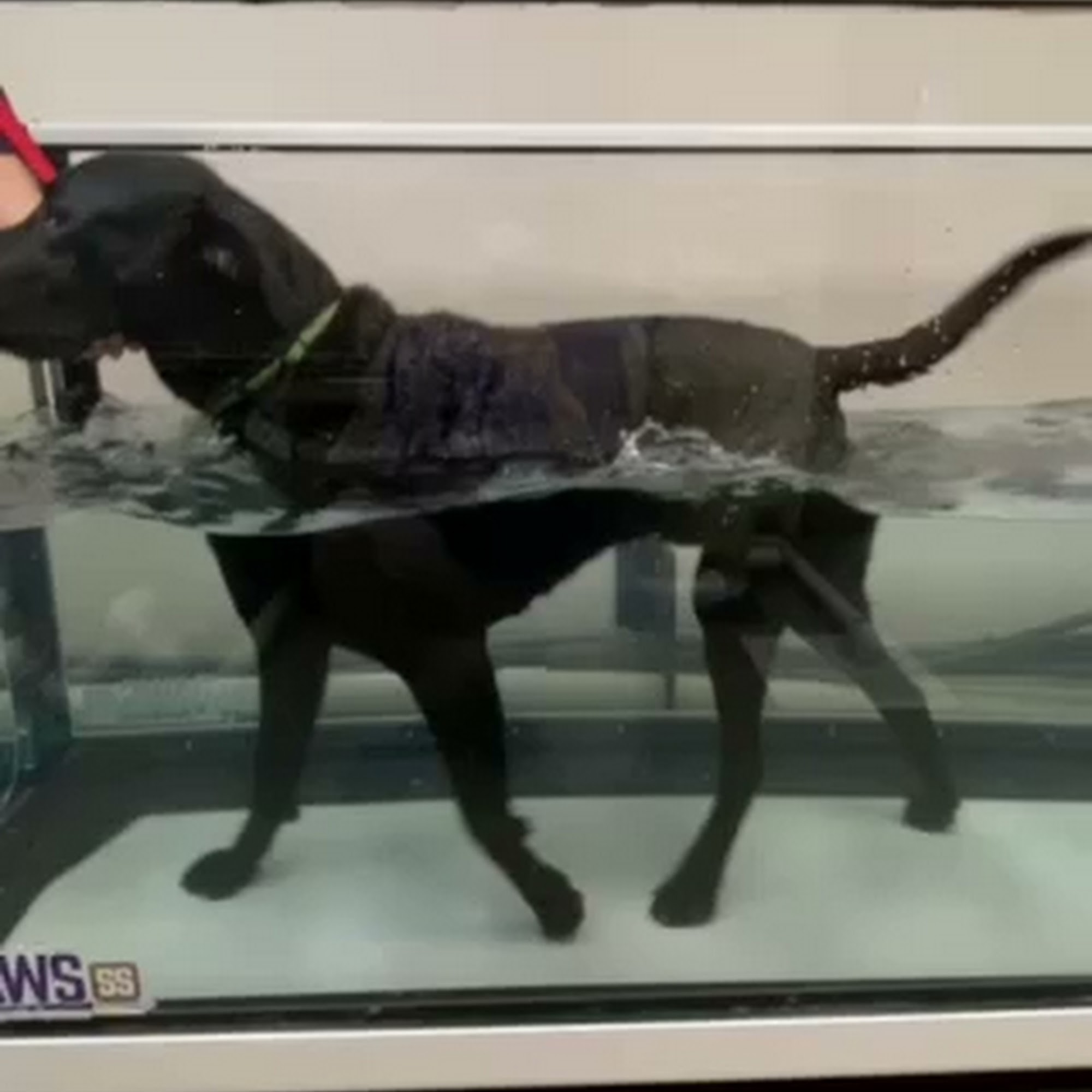 Marquette Veterinary Clinic Marquette