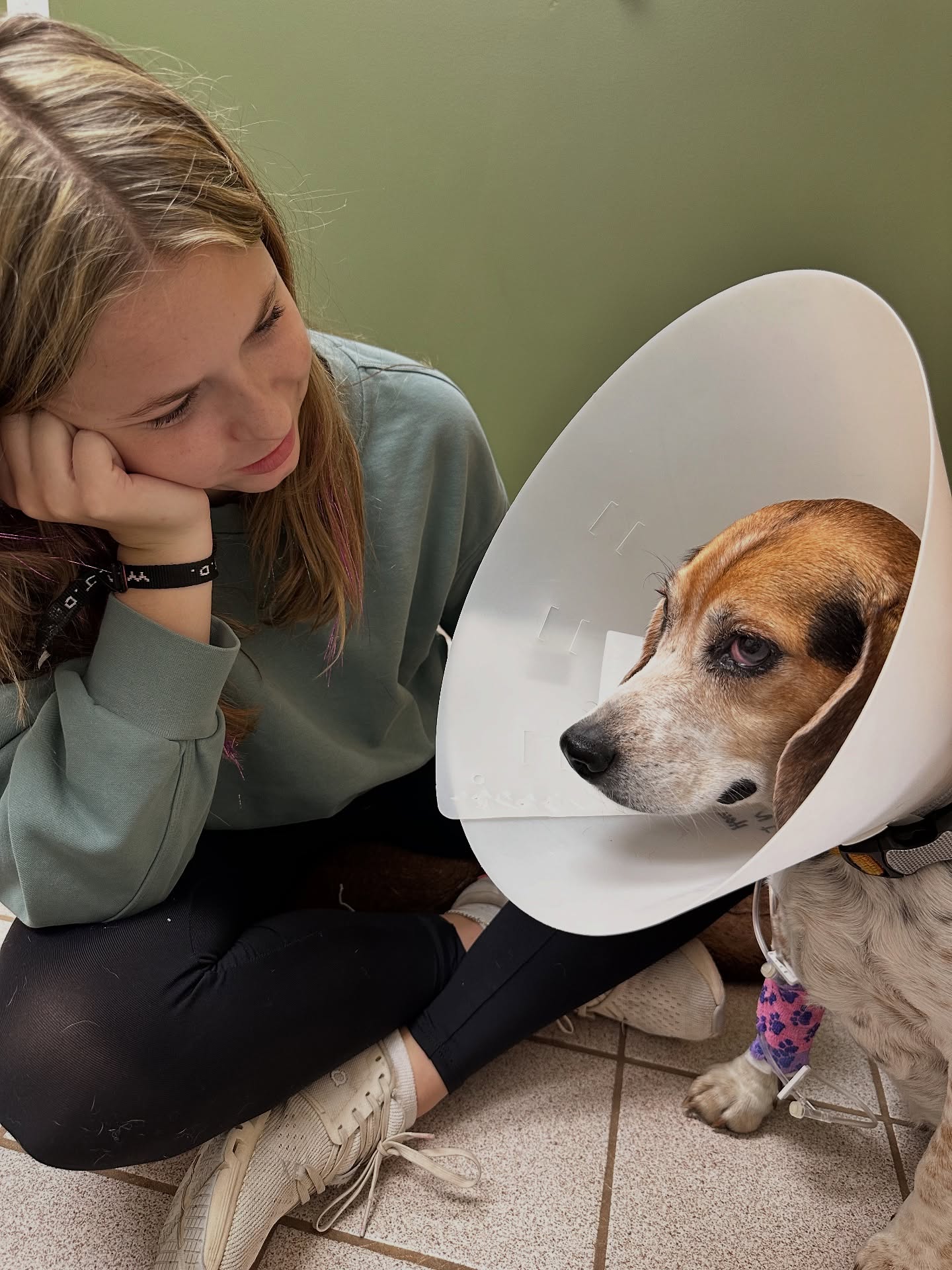 Golden Sands Golf Course and Bucket Bar Mears