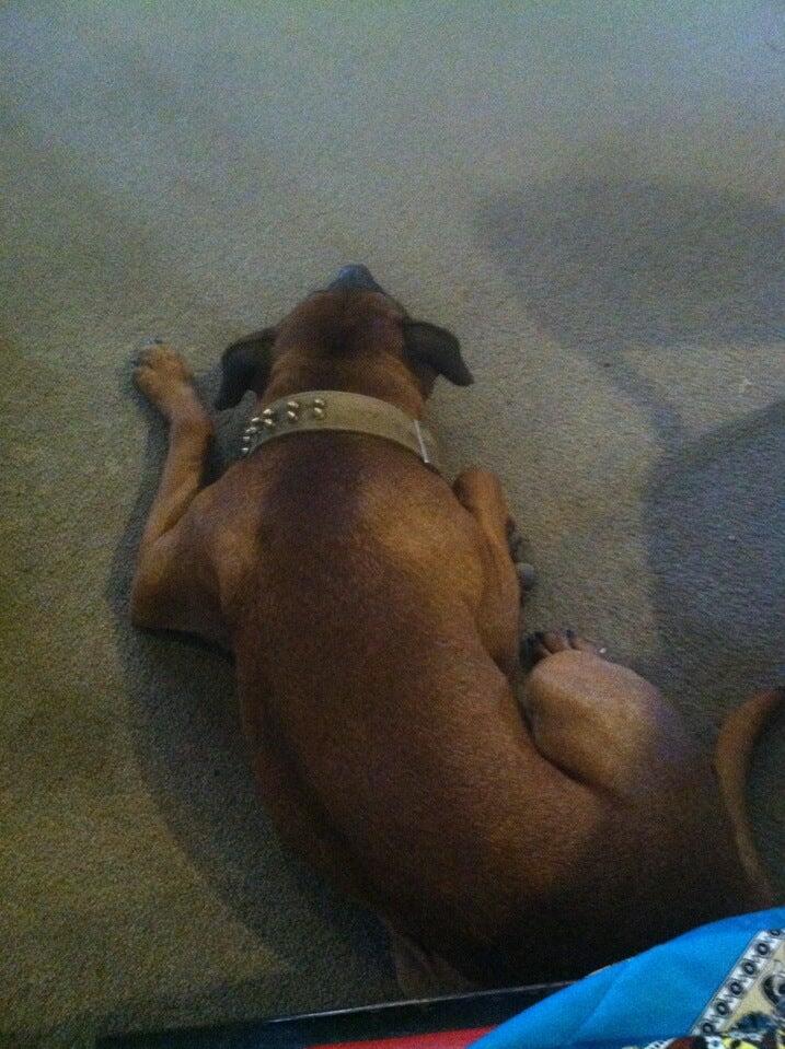 Photo credit: nextdoor