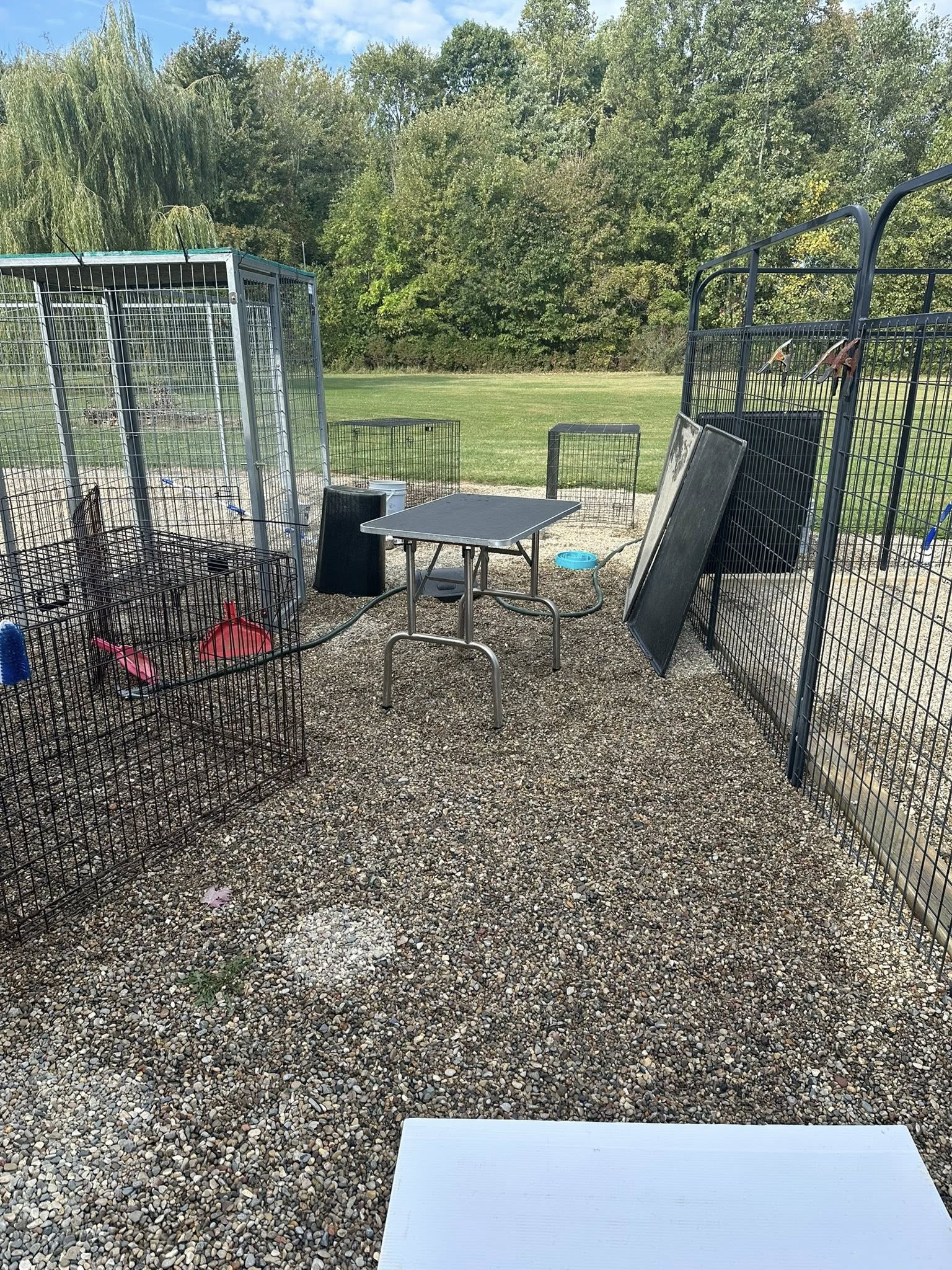 Suzy's Bed and Biscuit Memphis