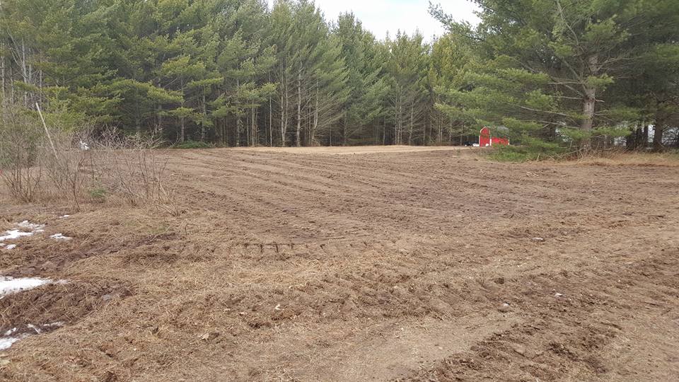 Teall Excavating Inc