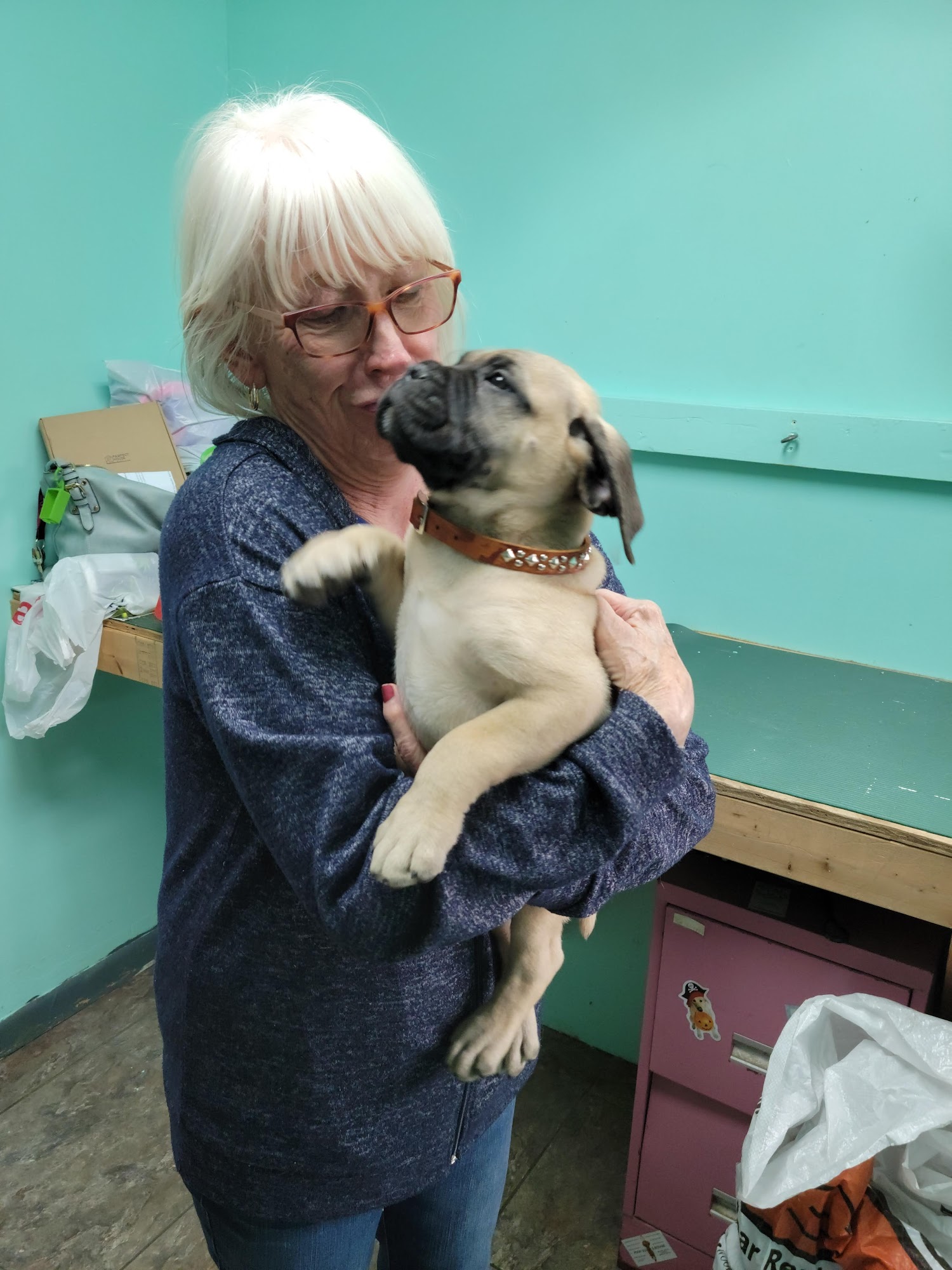 Four Paws Pet Center Michigan Center