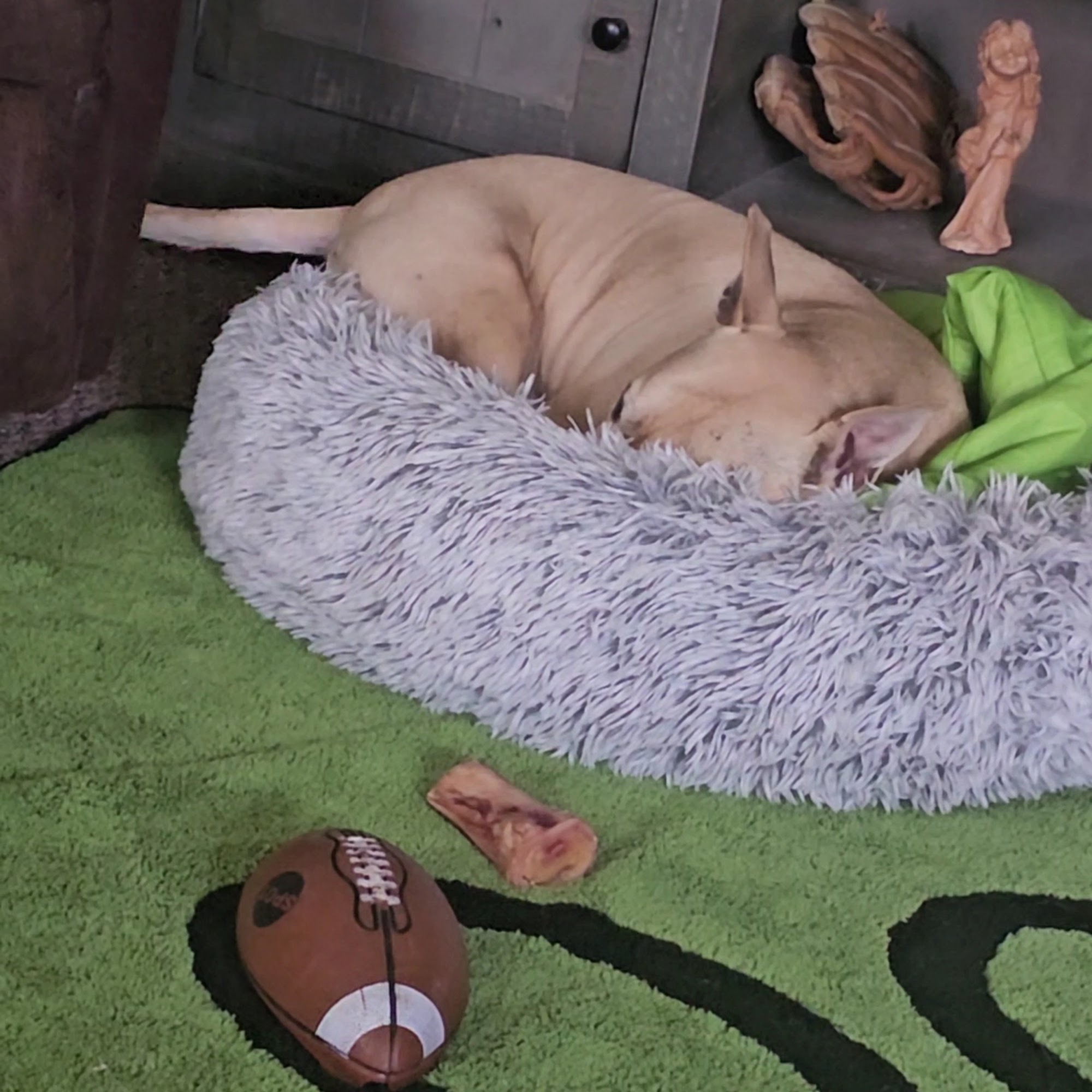 Animal Medical Center Midland