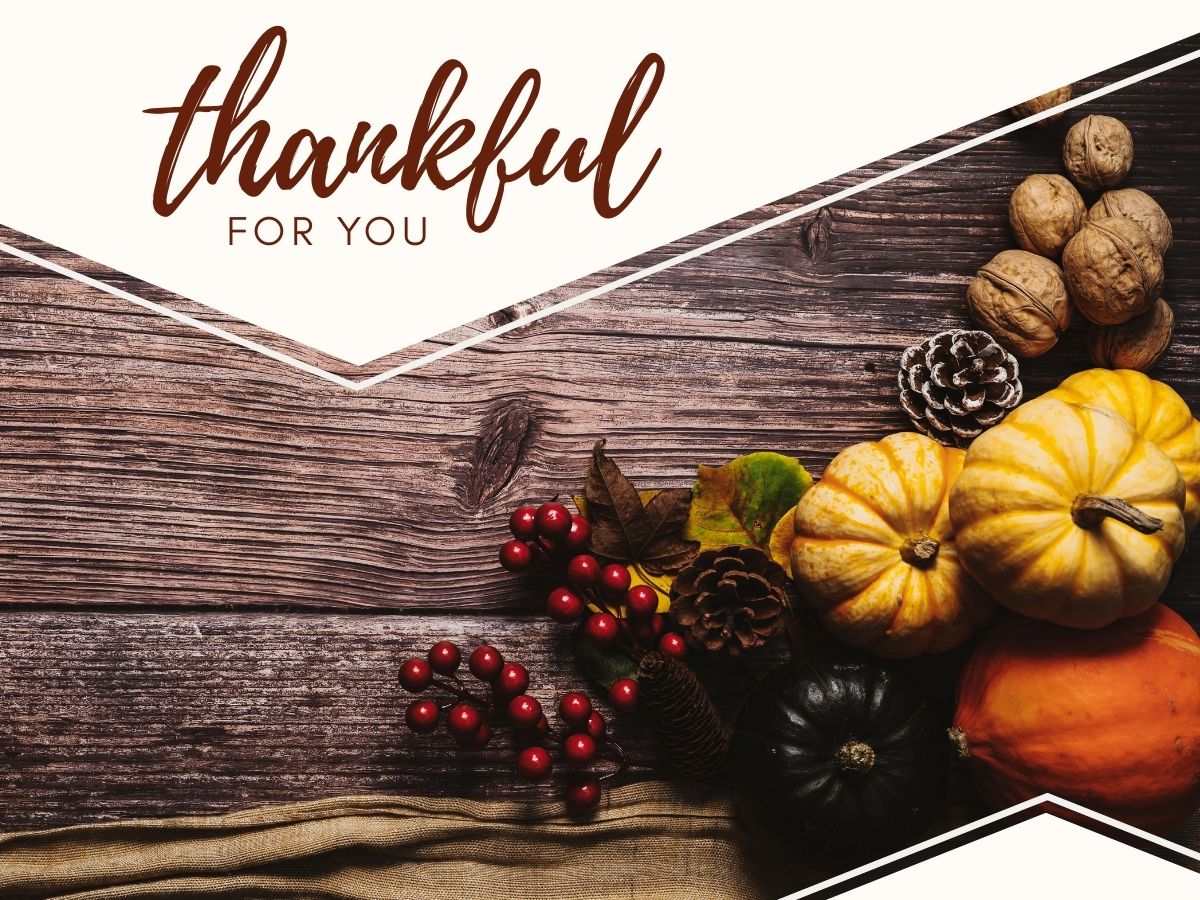 McLaughlin Optometry