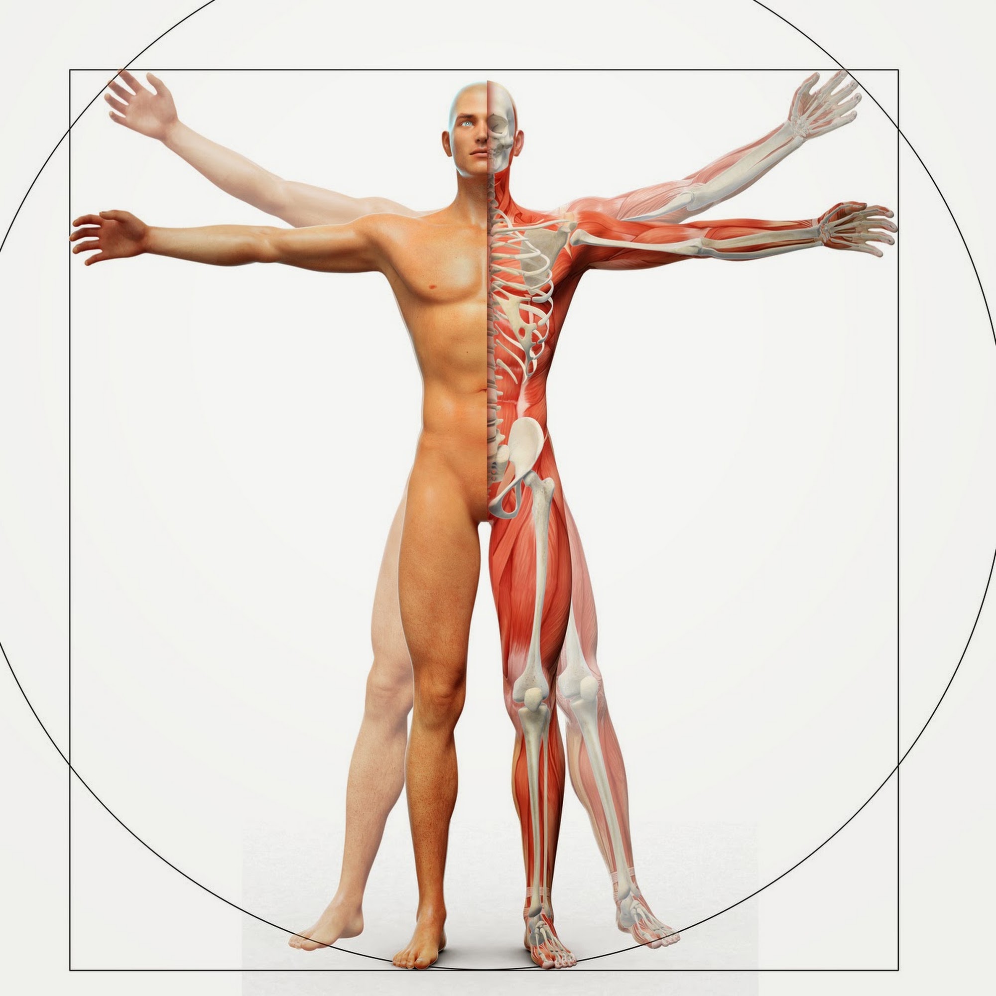 Chadwell Chiropractic