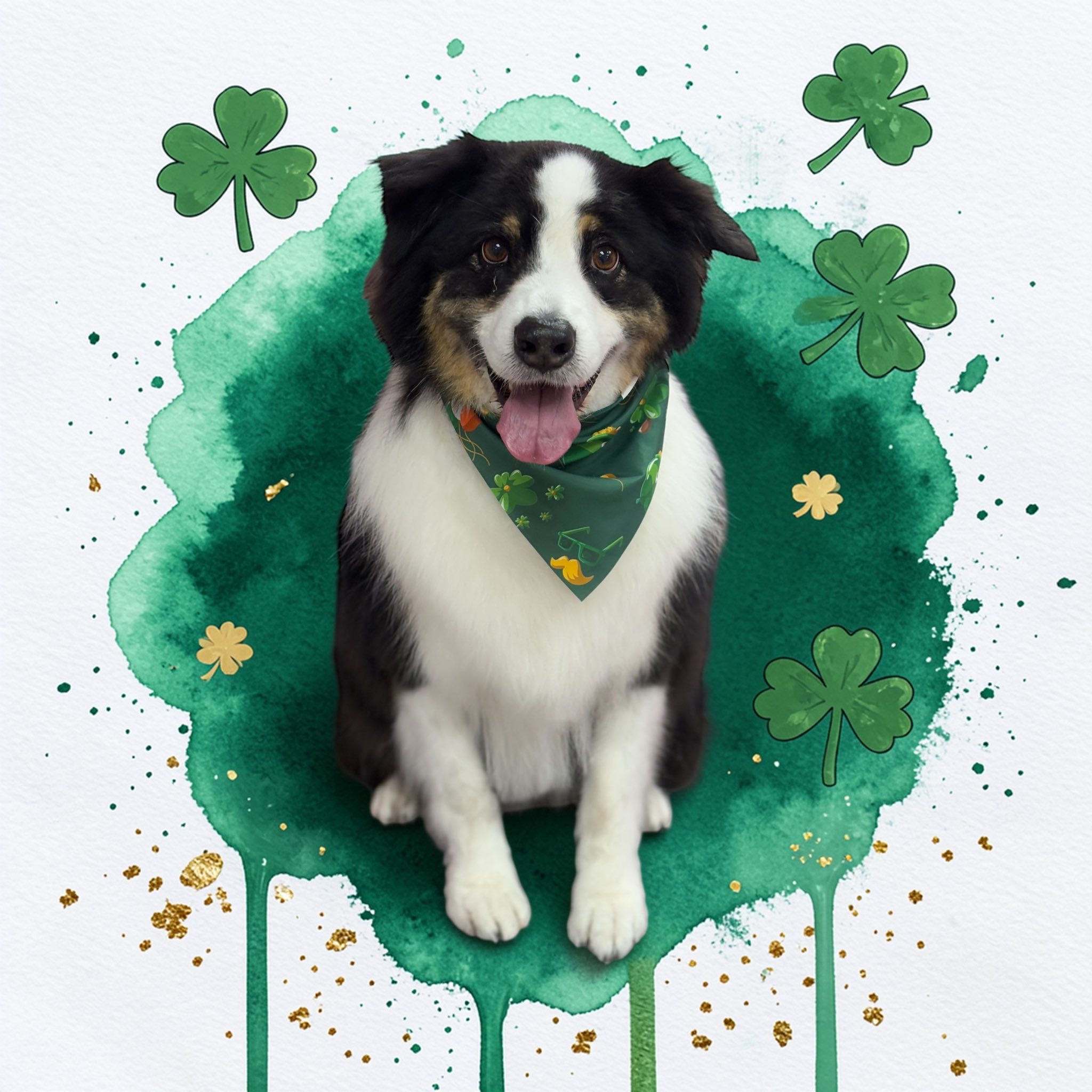 Pawlished and Primped Midland