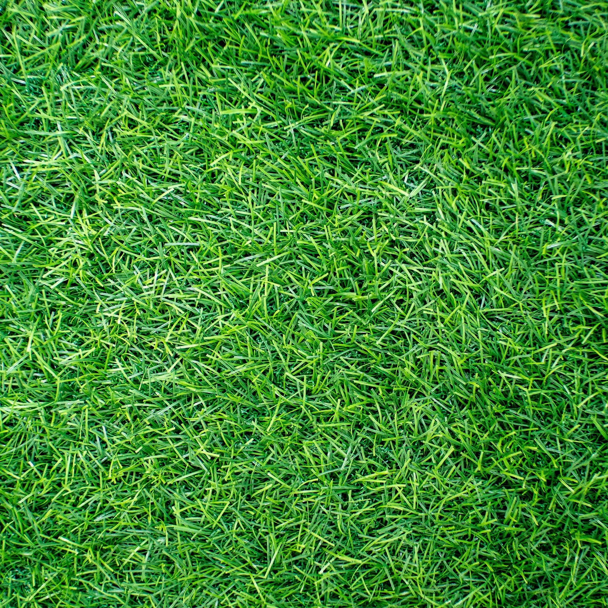 Hands for Hire Lawn Service