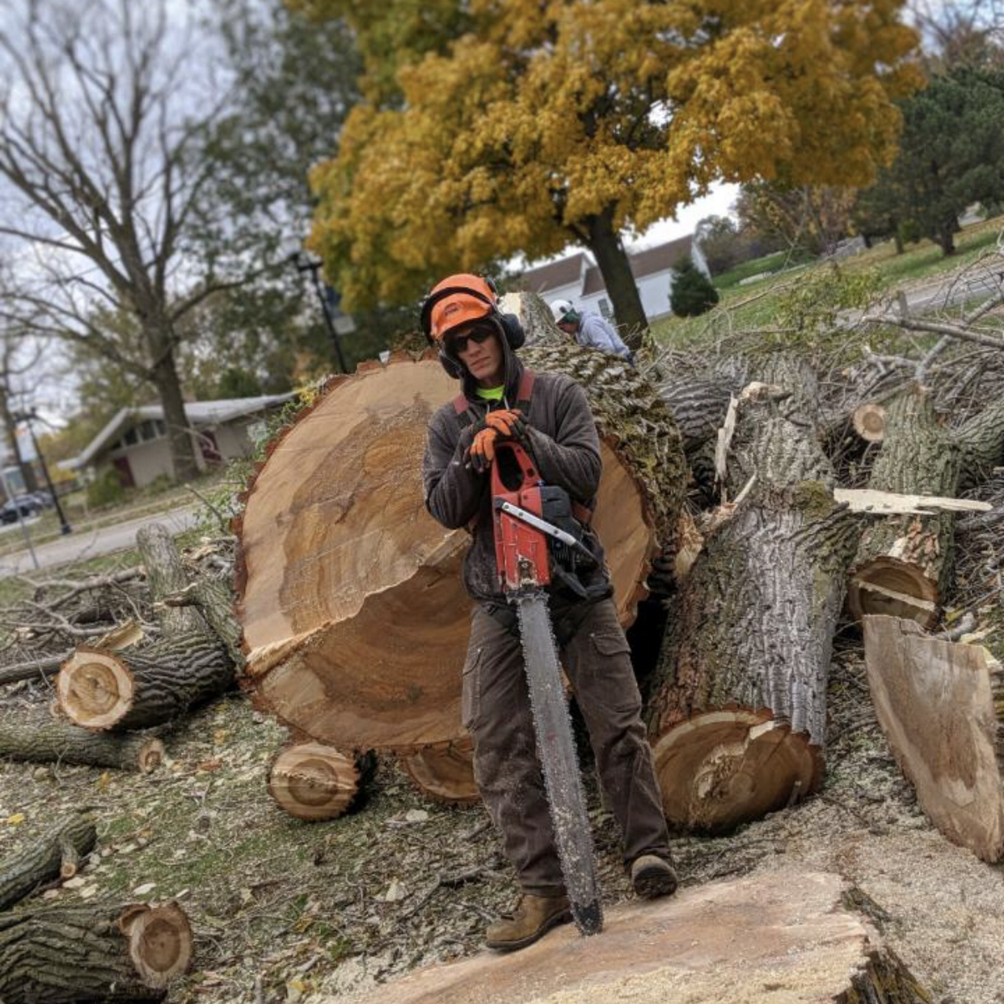 Jeffries Tree Removal, LLC