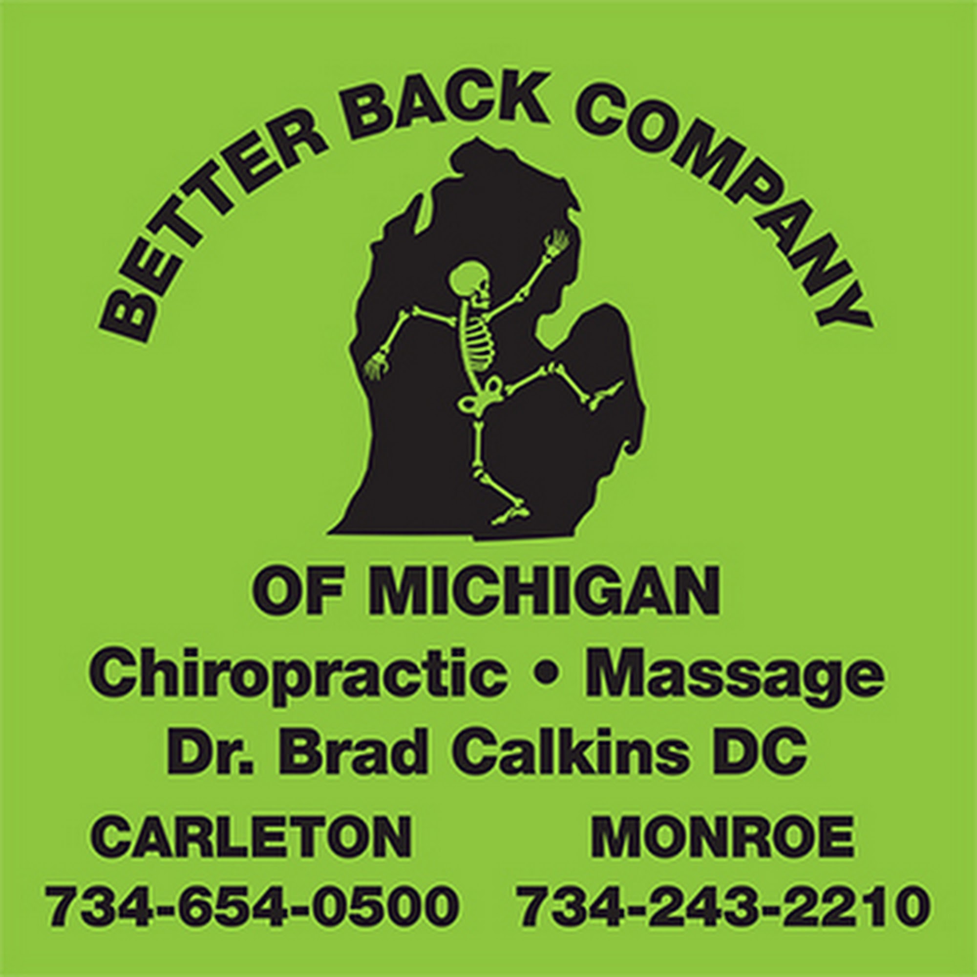 Better Back Company of Michigan 15581 S Dixie Hwy, Monroe Michigan 48161