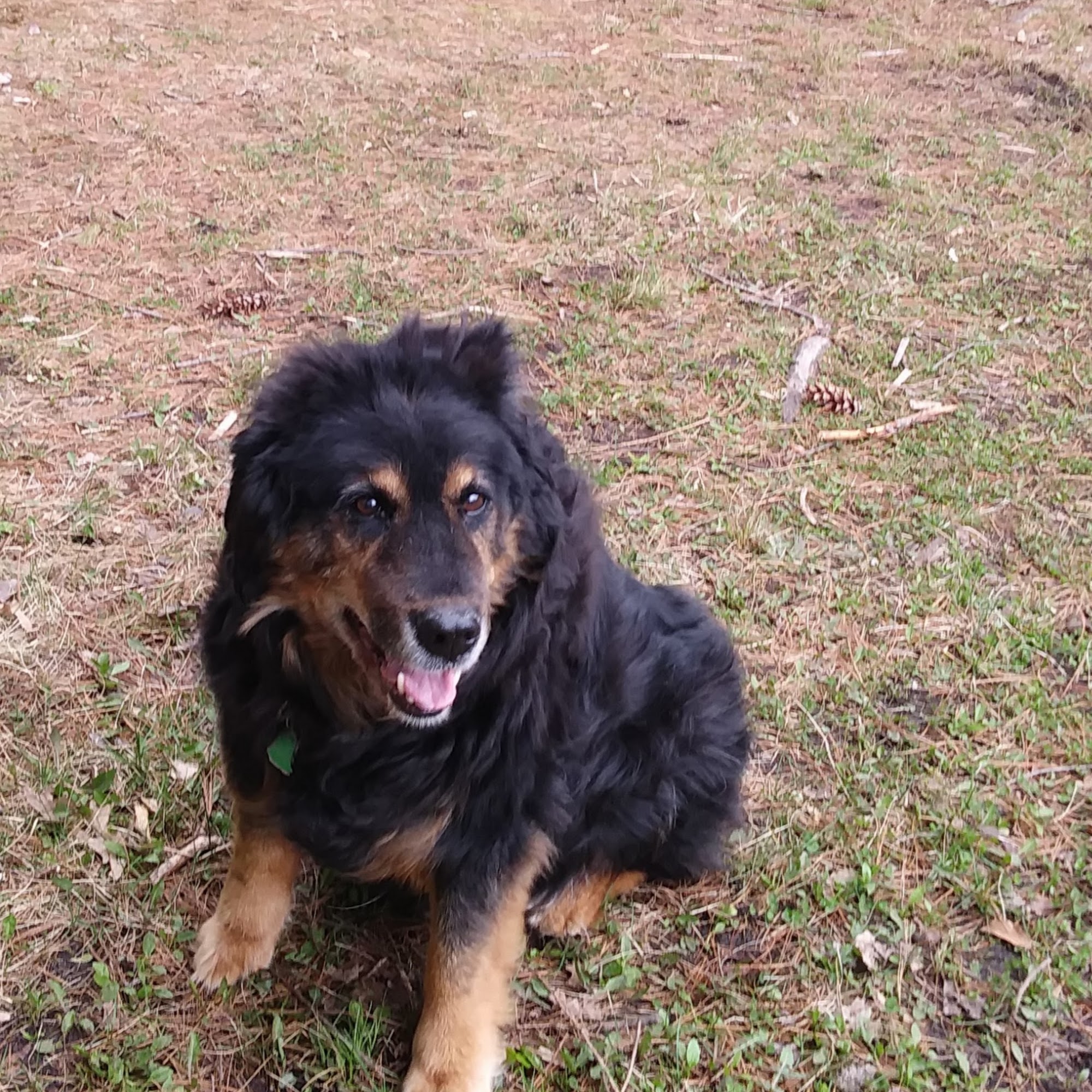 White Lake Animal Clinic Montague