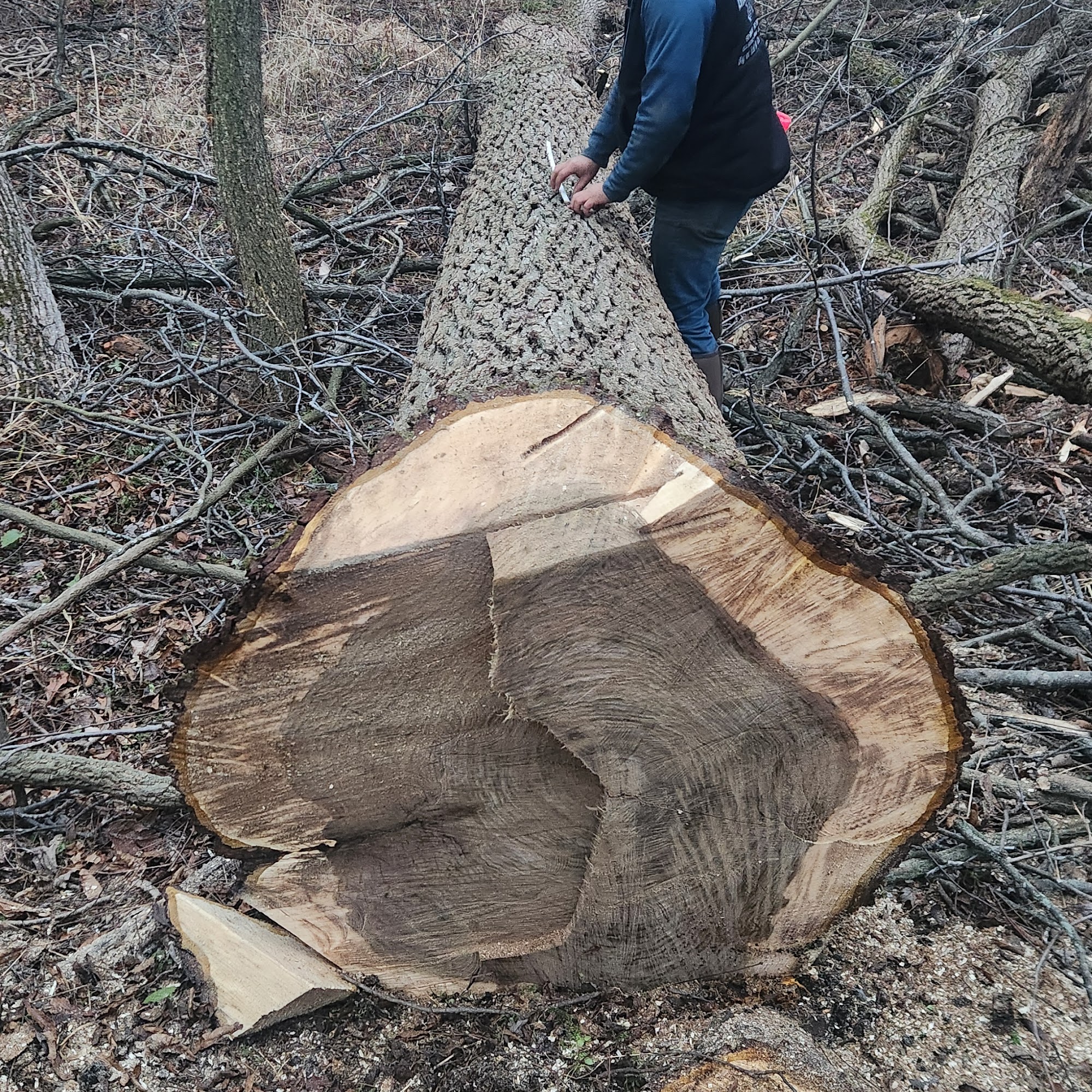 Big Timber LLC 781 S Ray Quincy Rd, Montgomery Michigan 49255