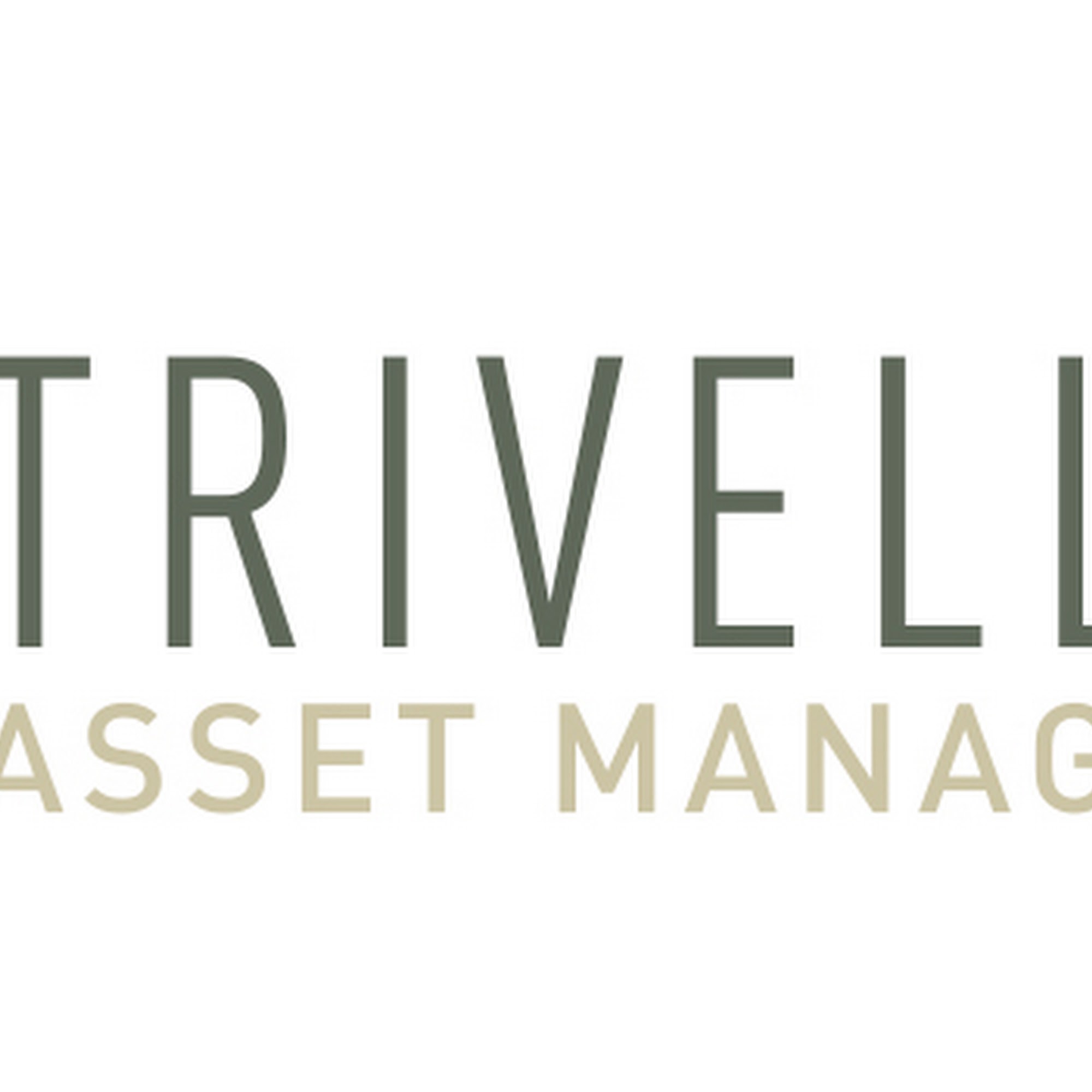 Trivelloni asset management
