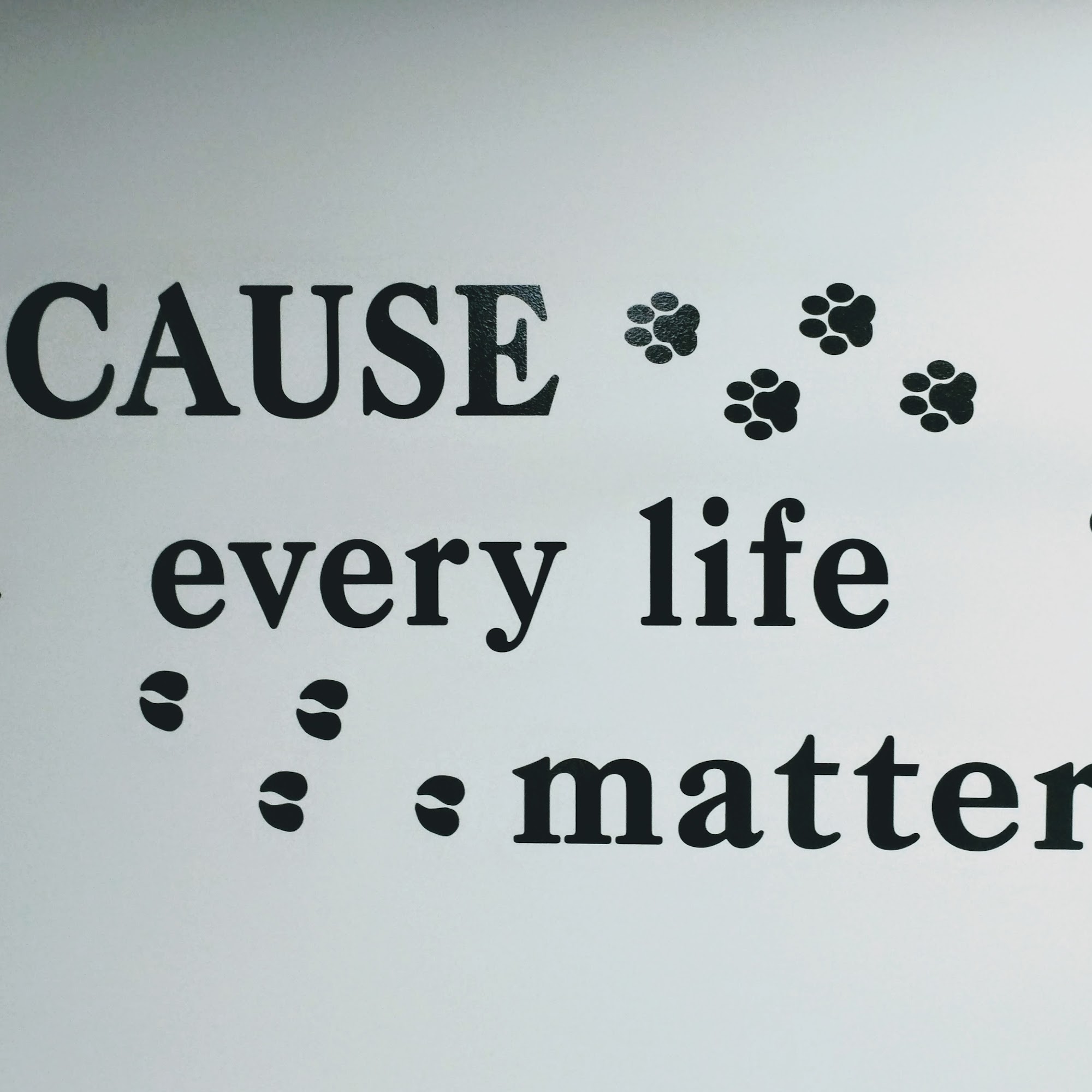 Isabella Cat Clinic Mount Pleasant