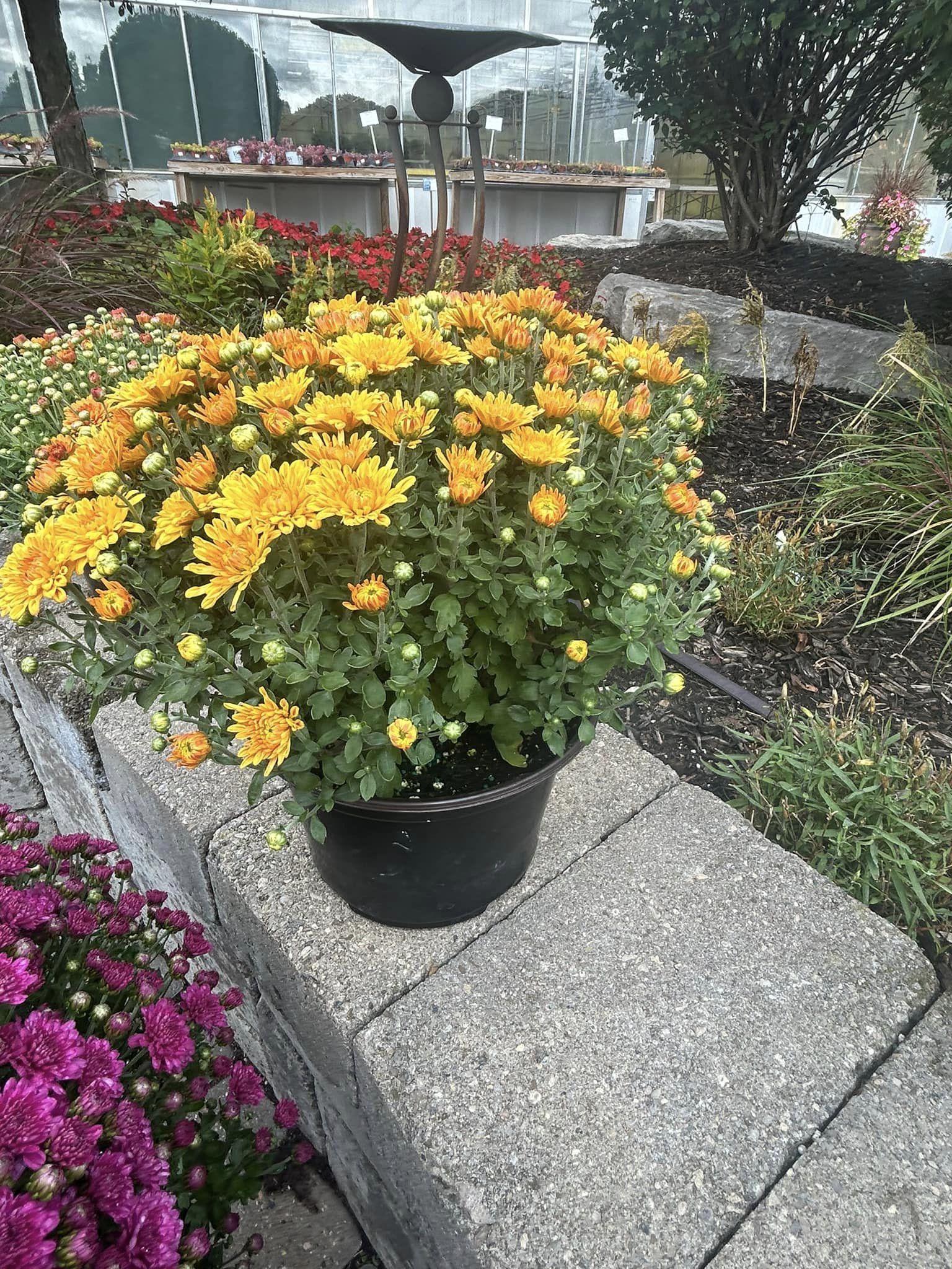 Green Scene Landscaping