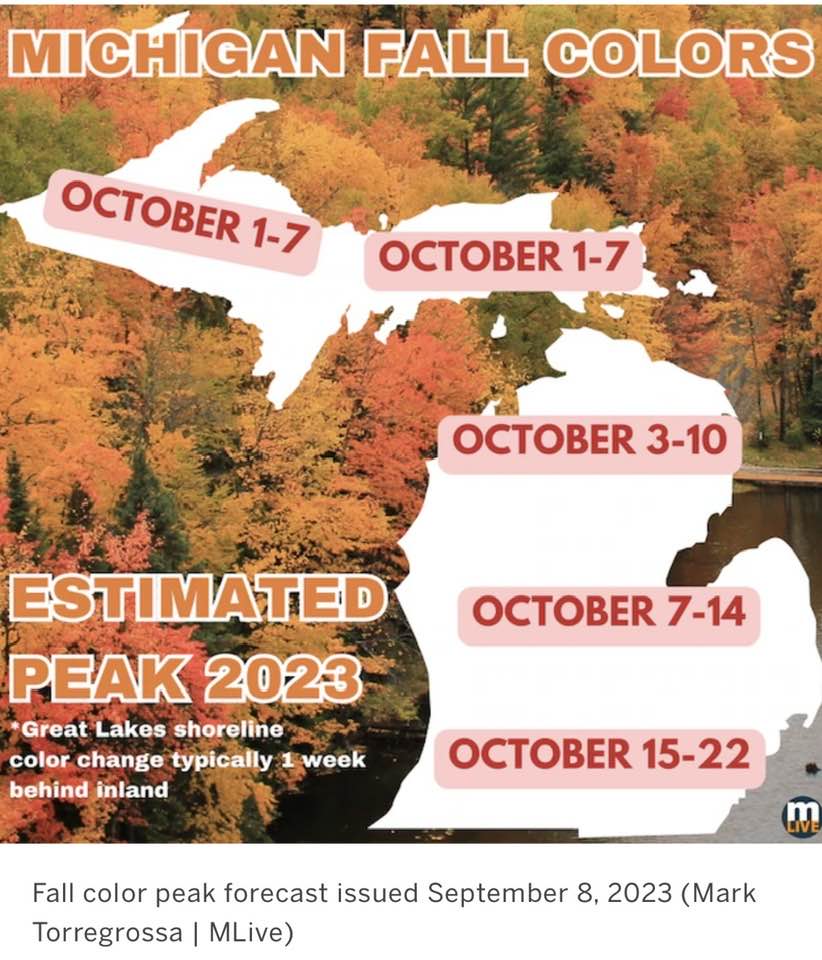 Central Michigan Hypnosis