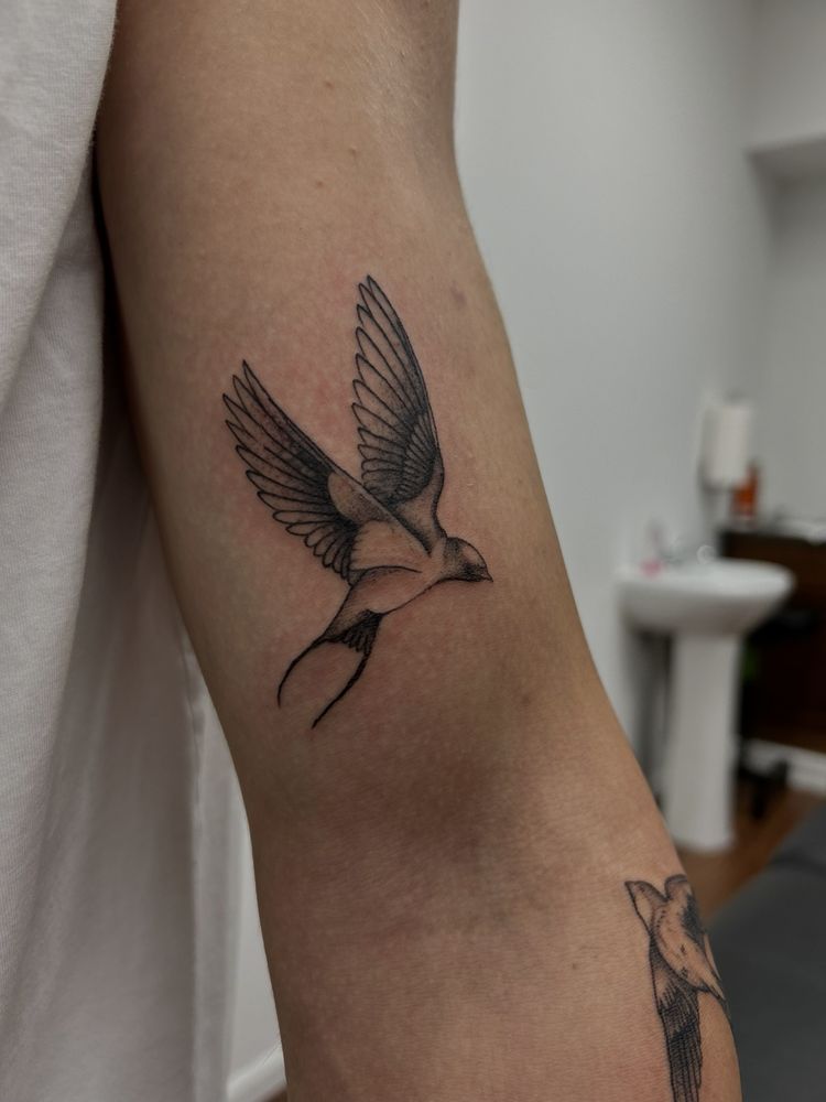 Photo credit: 