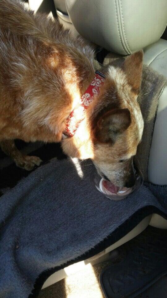 Photo credit: nextdoor