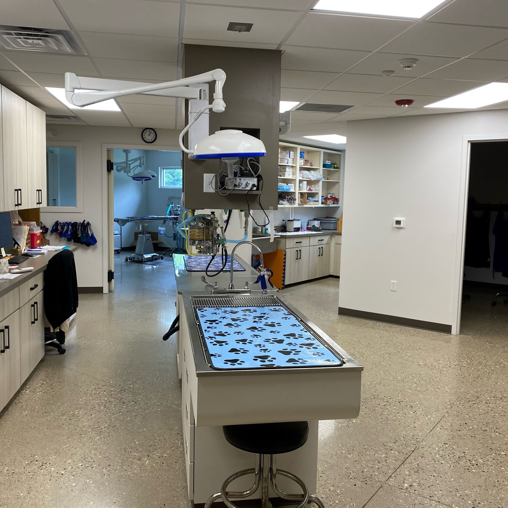 Animal Clinic of Muskegon Muskegon