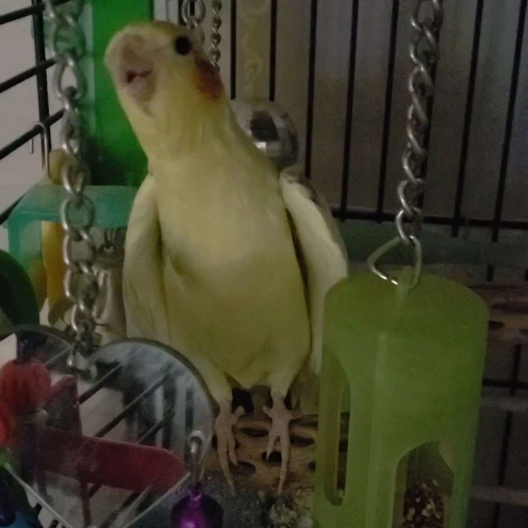 Faith Animal Care Muskegon