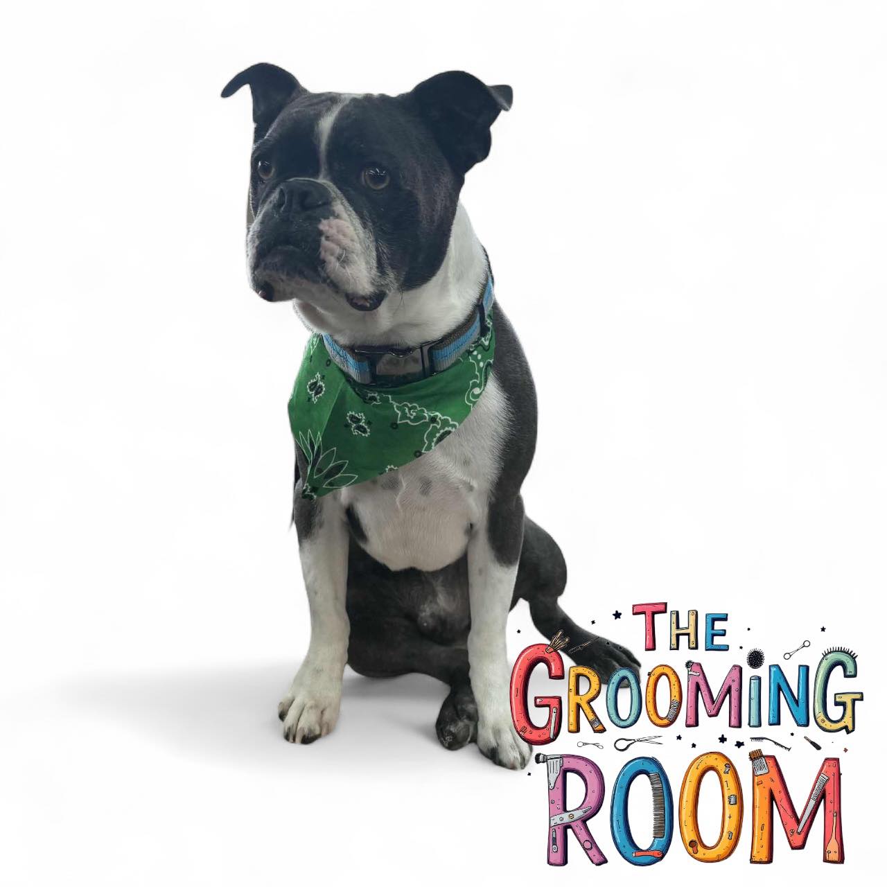 Grooming Room Muskegon