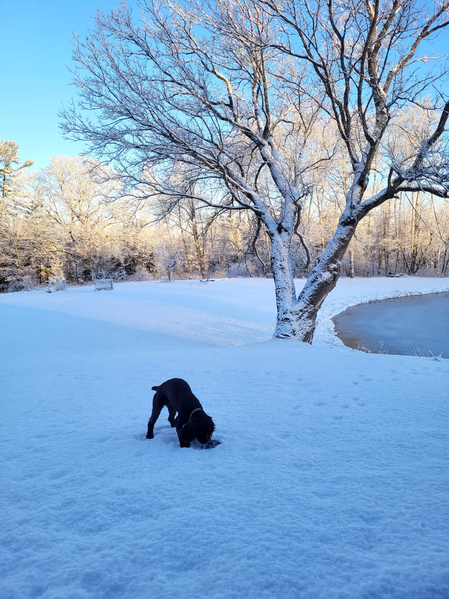Noah Project Muskegon