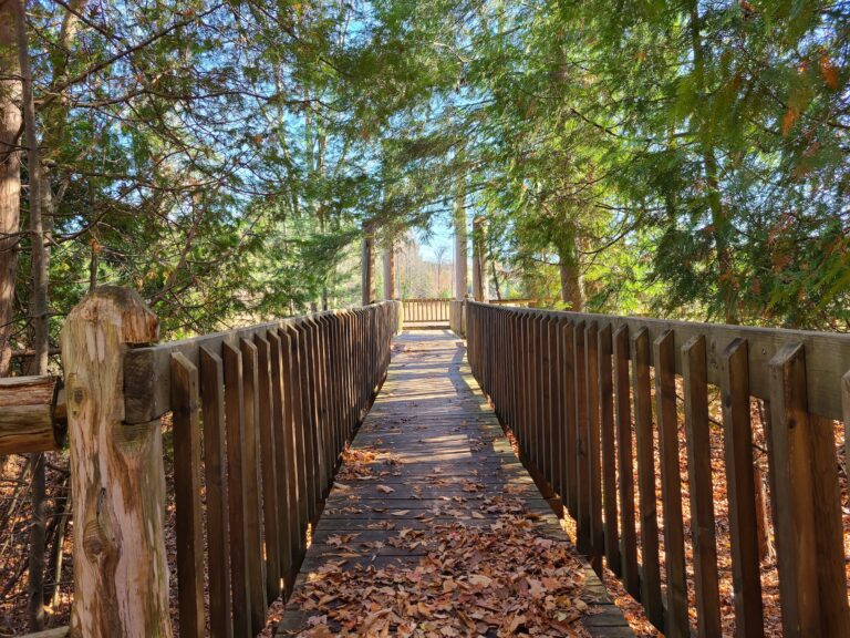 M.J. Niemi, Real Estate One