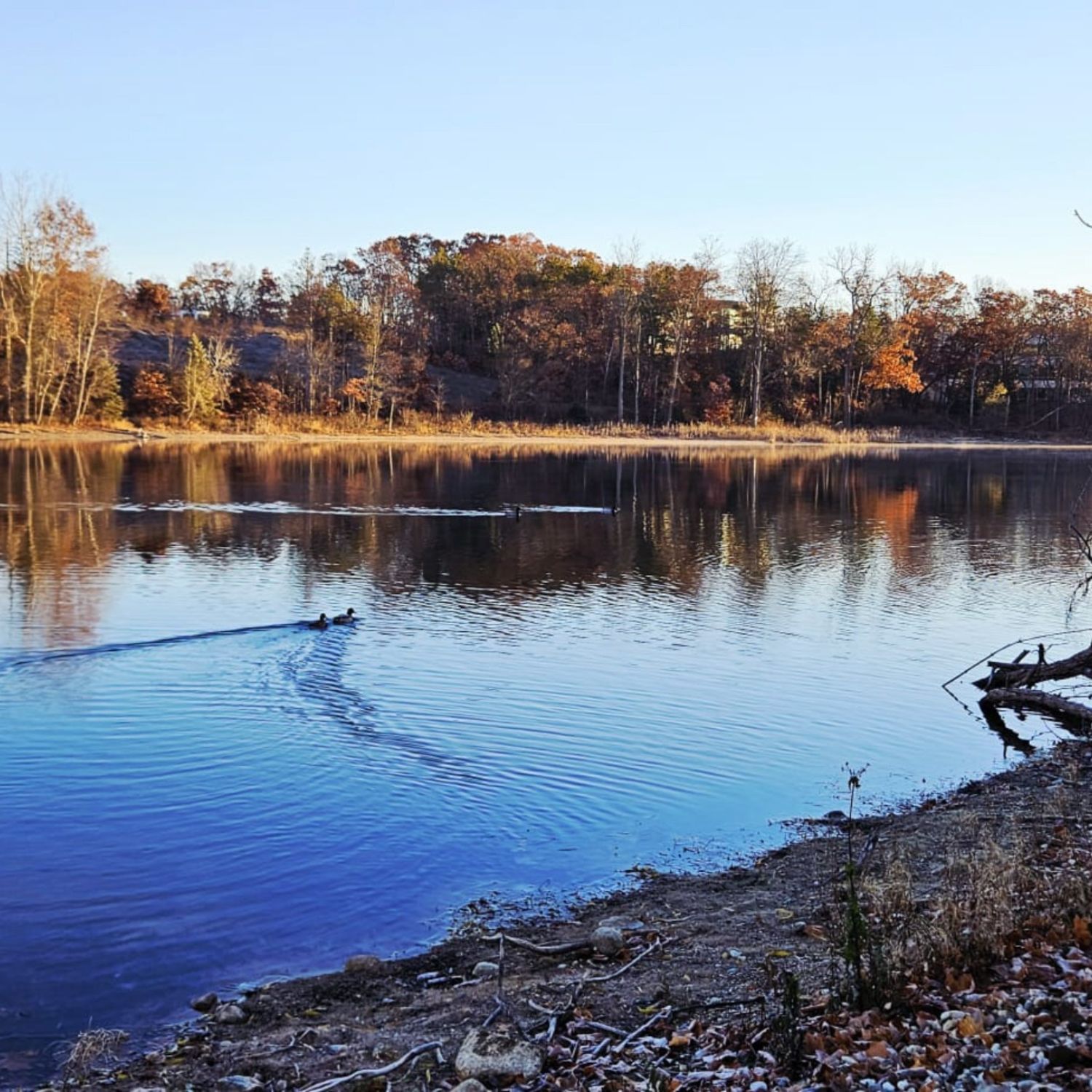 M.J. Niemi, Real Estate One