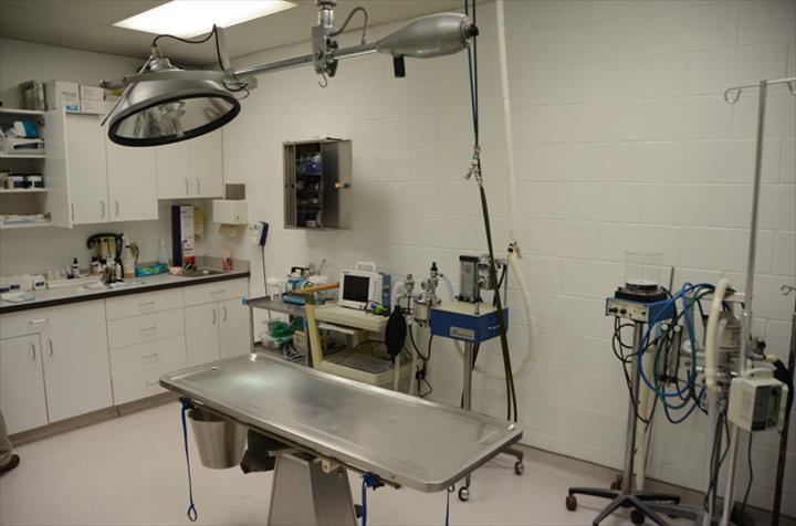 New Buffalo Animal Hospital, Inc. New Buffalo