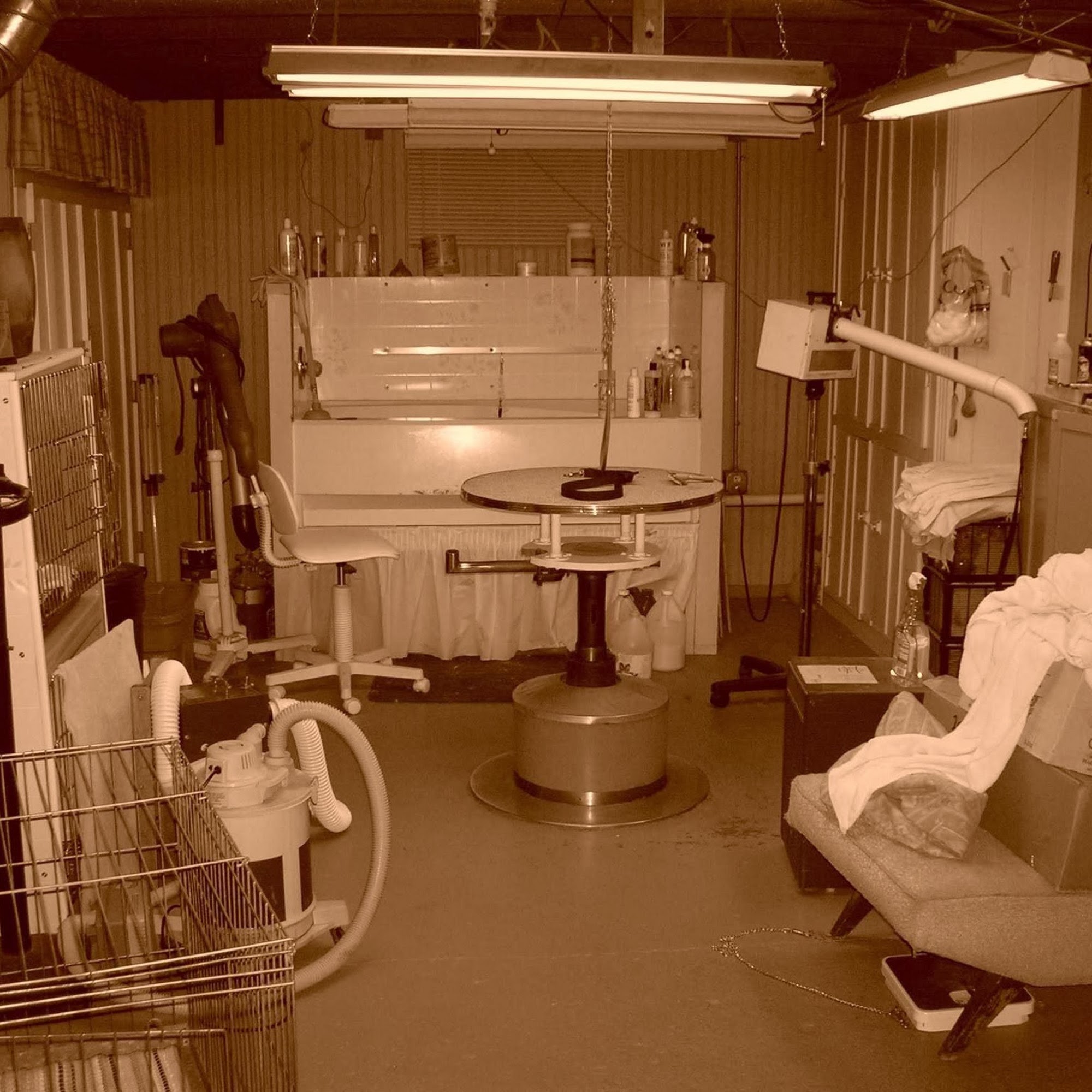 TK's Dog Grooming