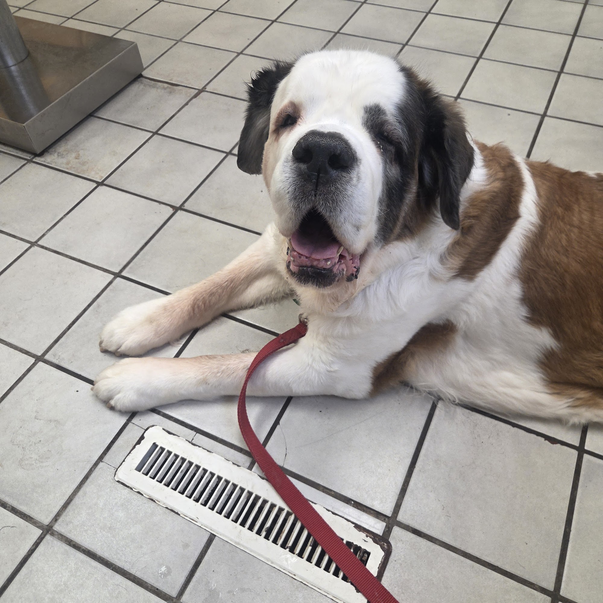 Animal Health Care of North Branch North Branch