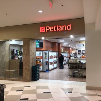 Petland Novi Novi