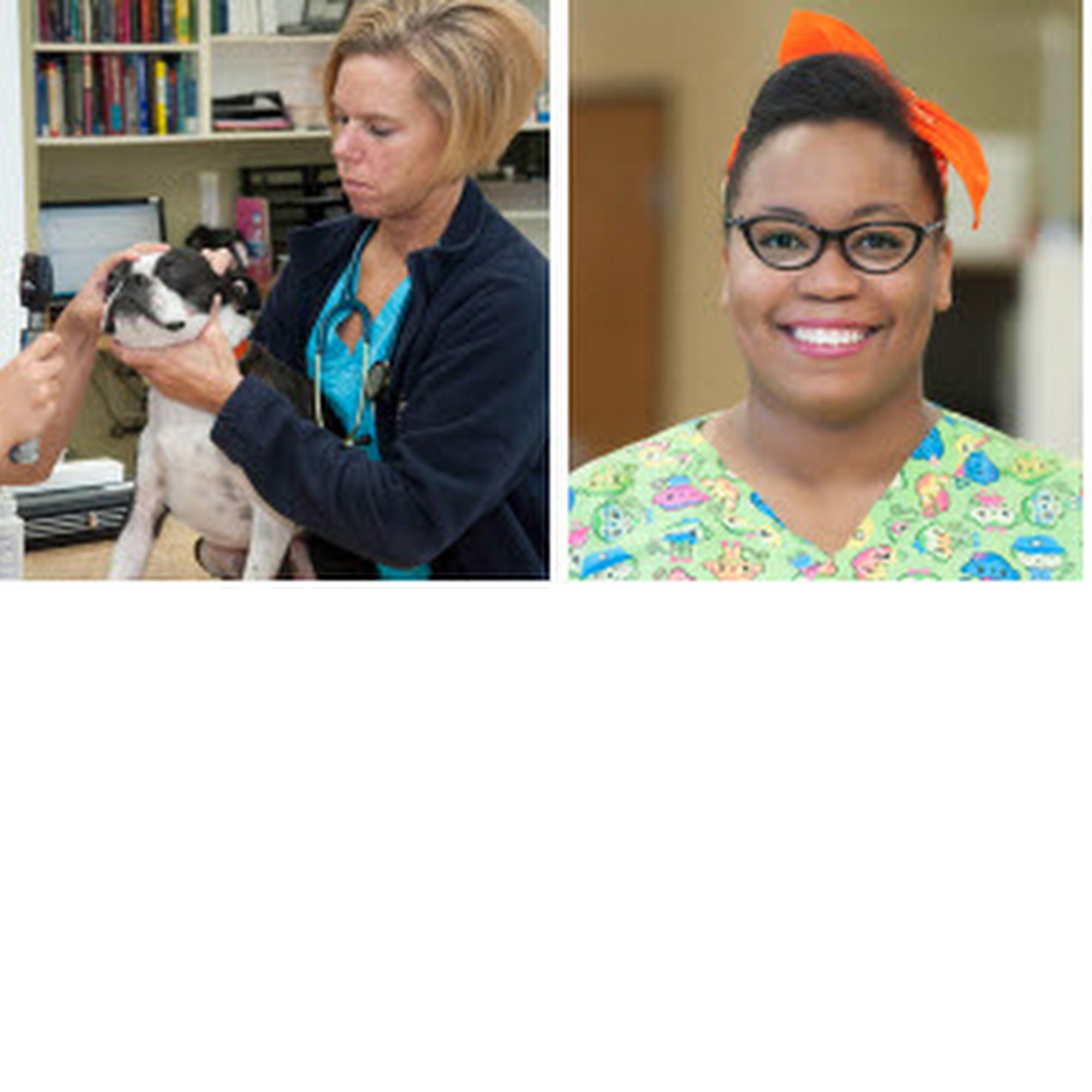 Animal Emergency Center - Novi Novi