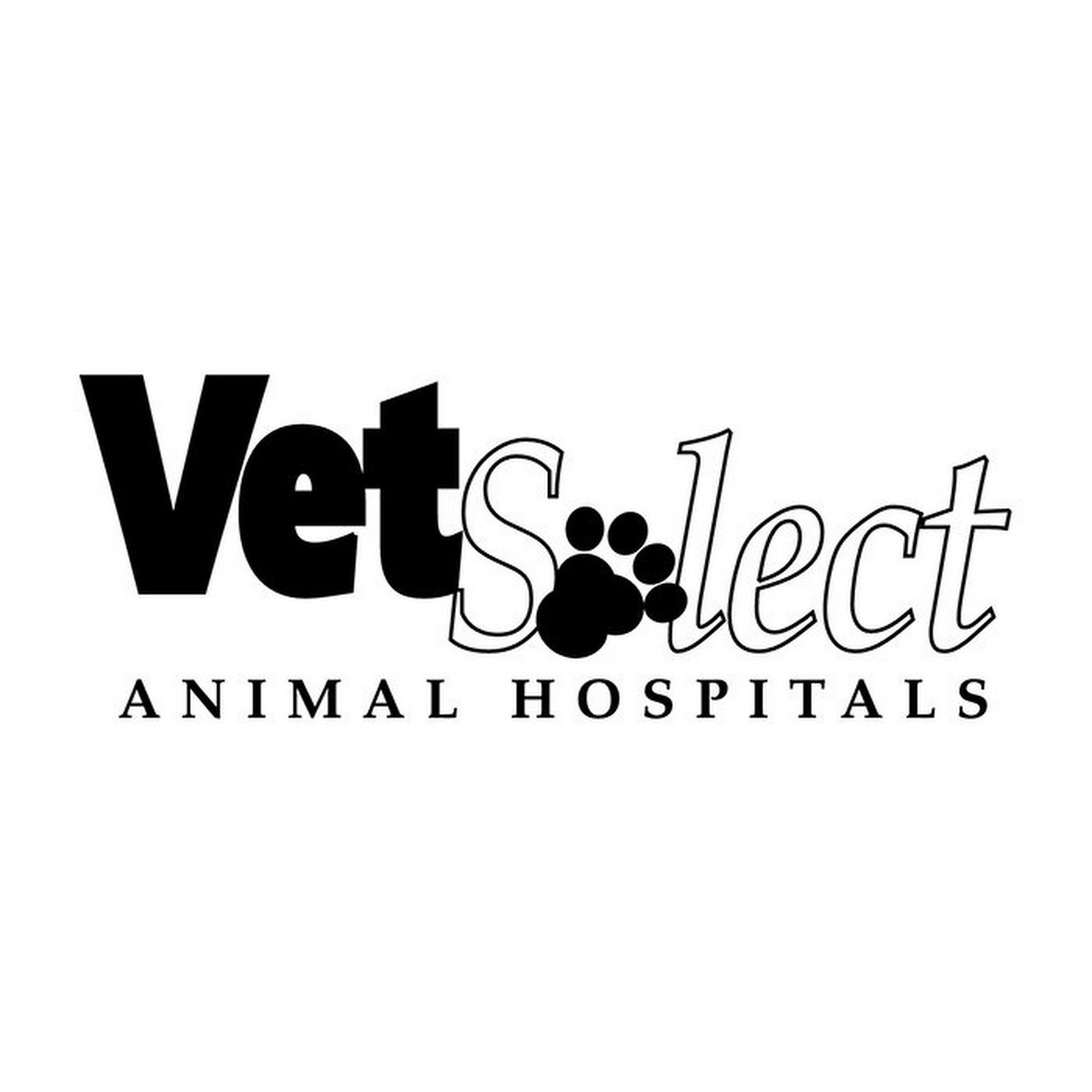 VetSelect Animal Hospital of Novi Novi