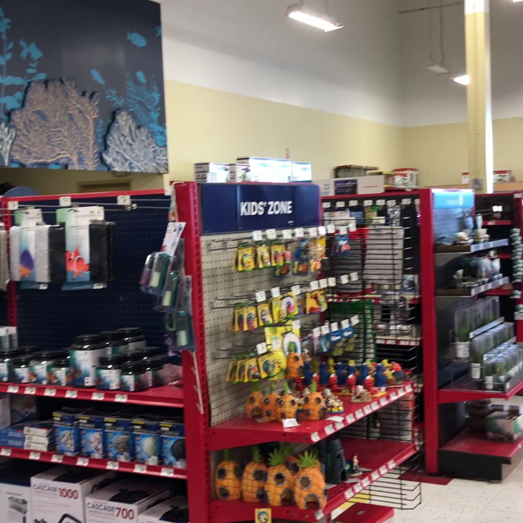 Petco Orion