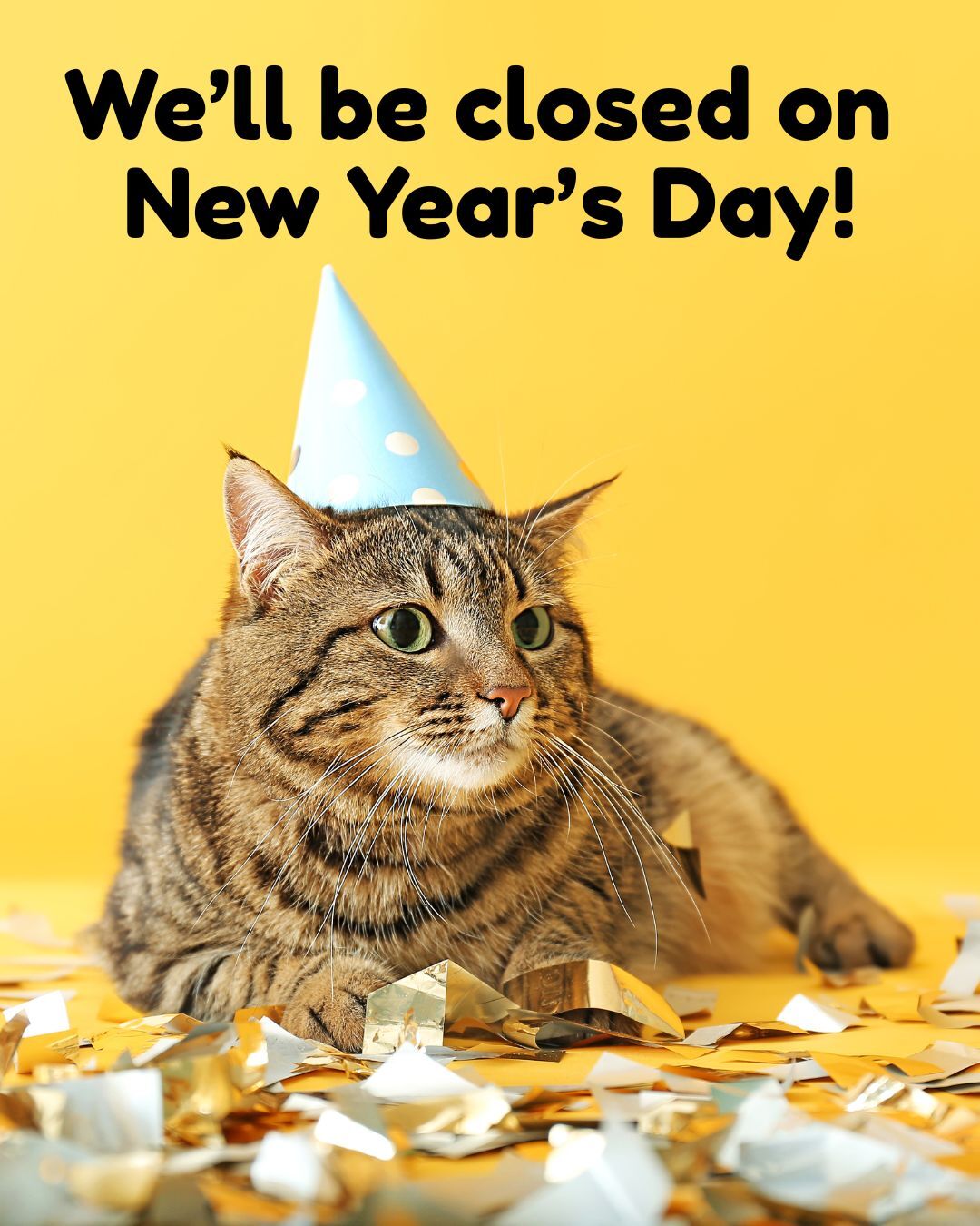 Orion Animal Hospital Orion