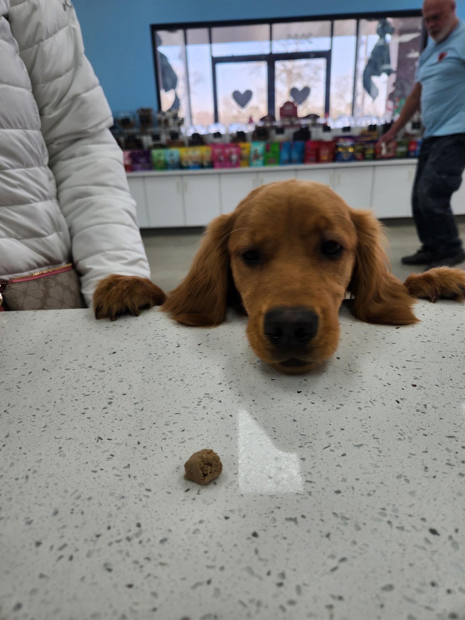 Love 4 Dogs LLC Orion