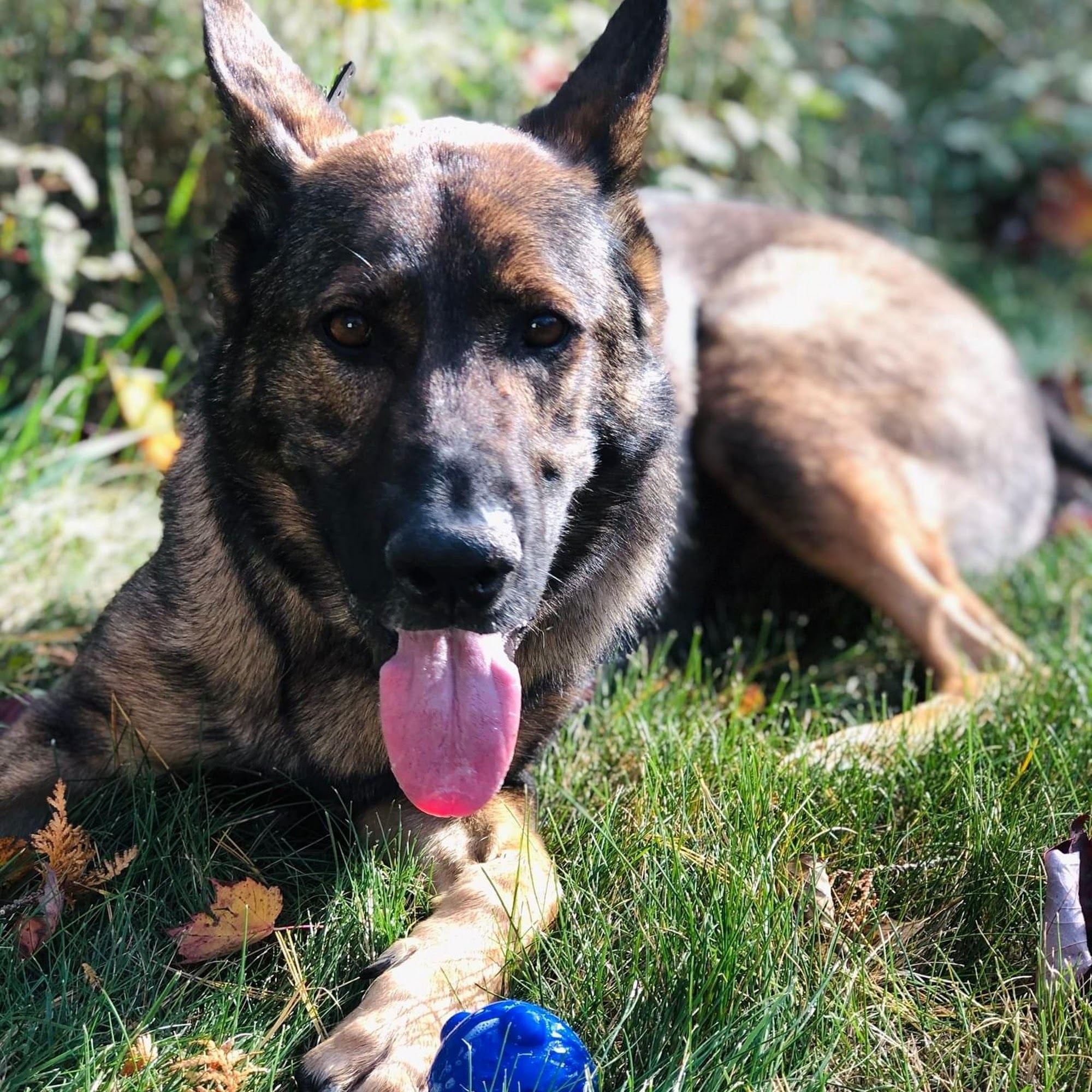 Sunrise Side Grooming Salon Oscoda