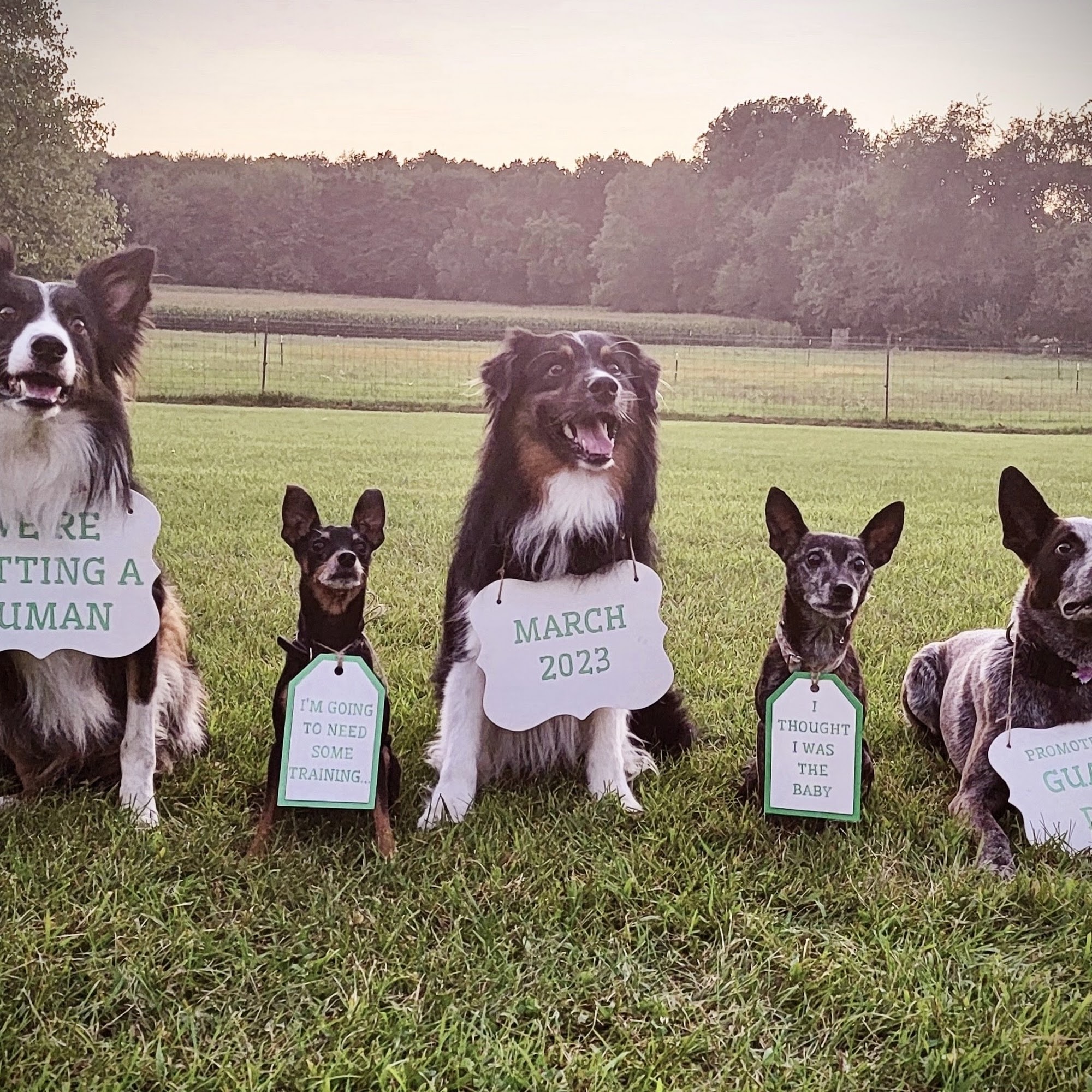 My Best Friend's Inn Otsego