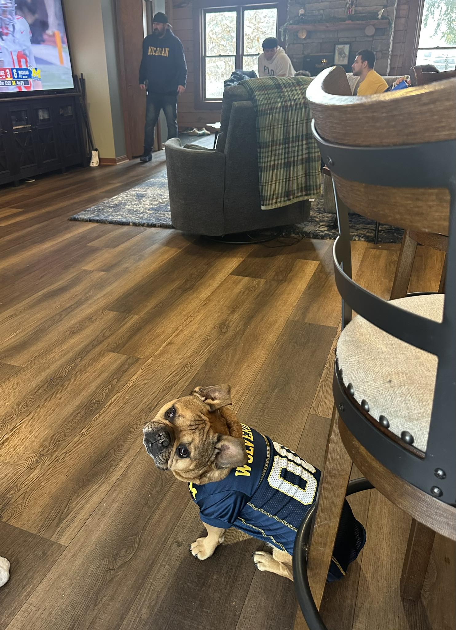 Spay Neuter Express Otsego