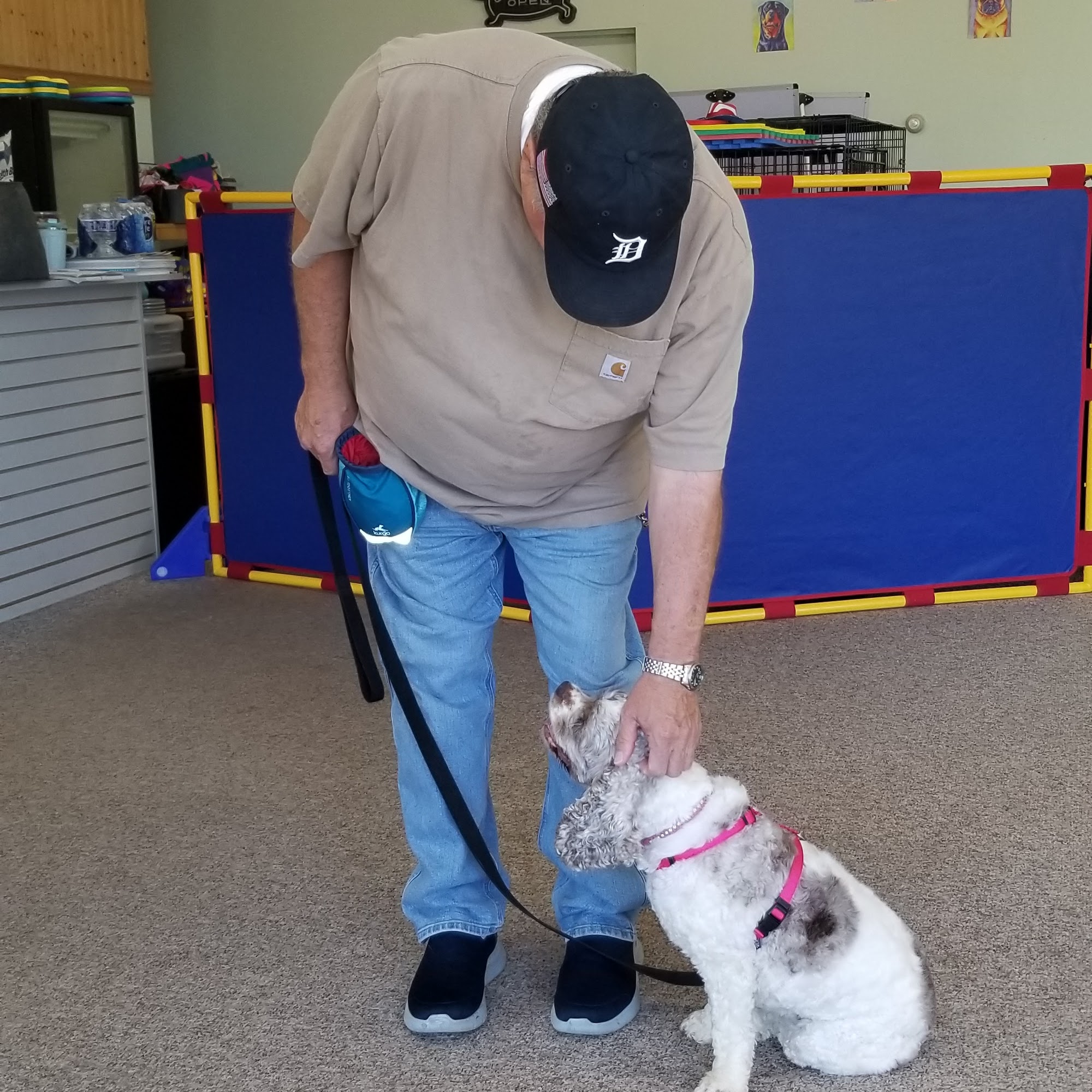 Cindy's Puppy Training School Otsego