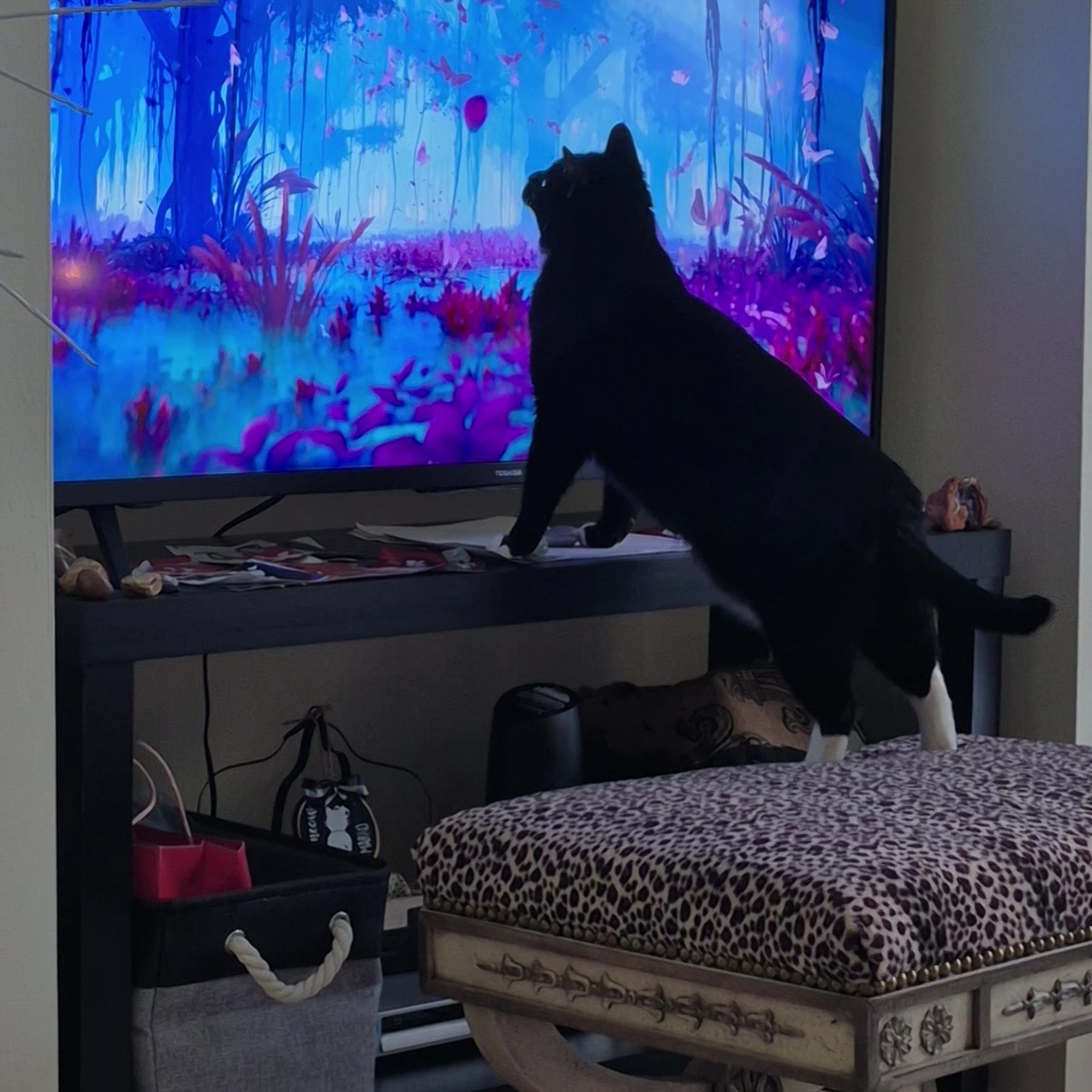 Pinecrest Animal Hospital Owosso