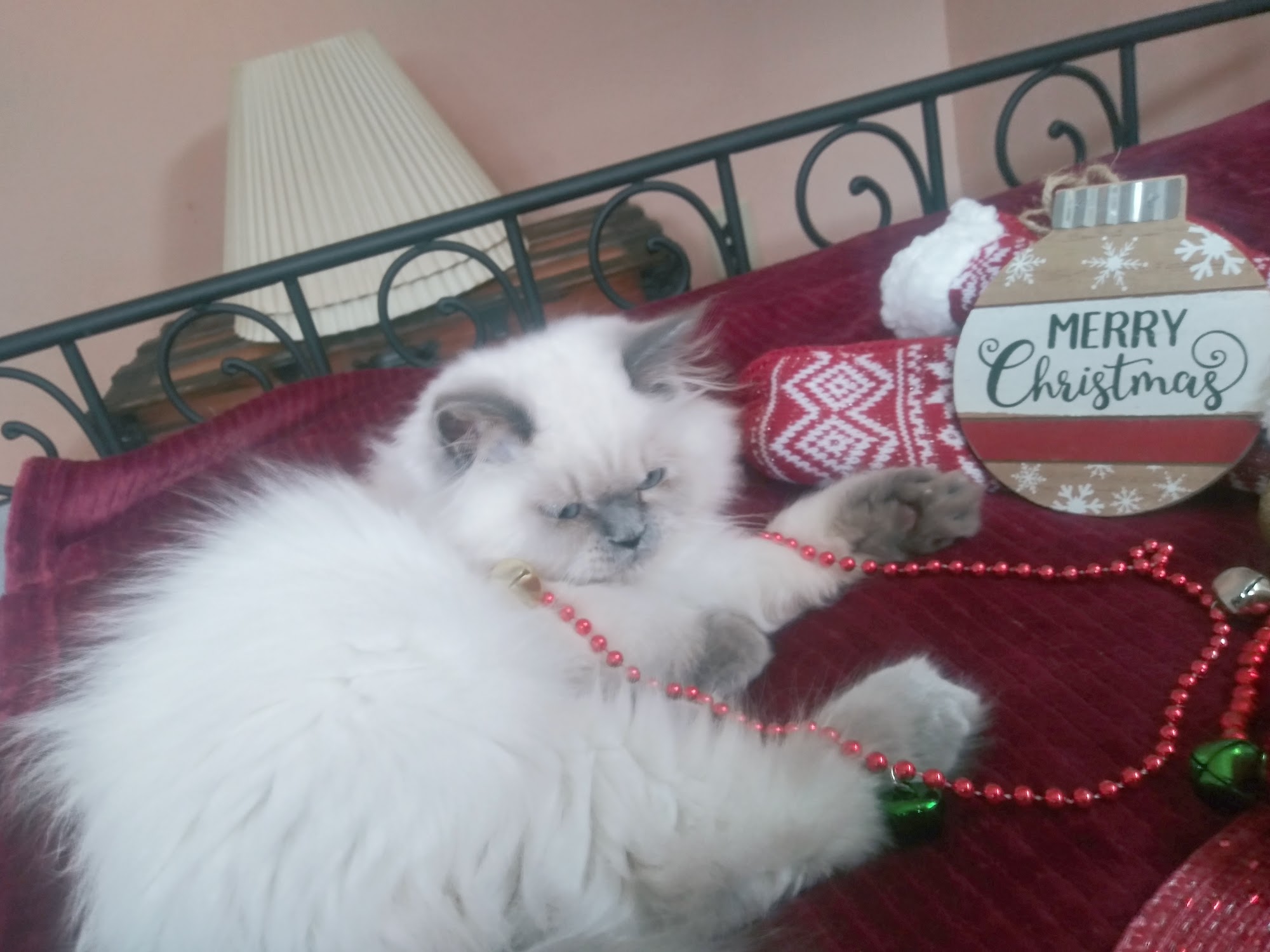 Heritage Acres Veterinary Services Owosso