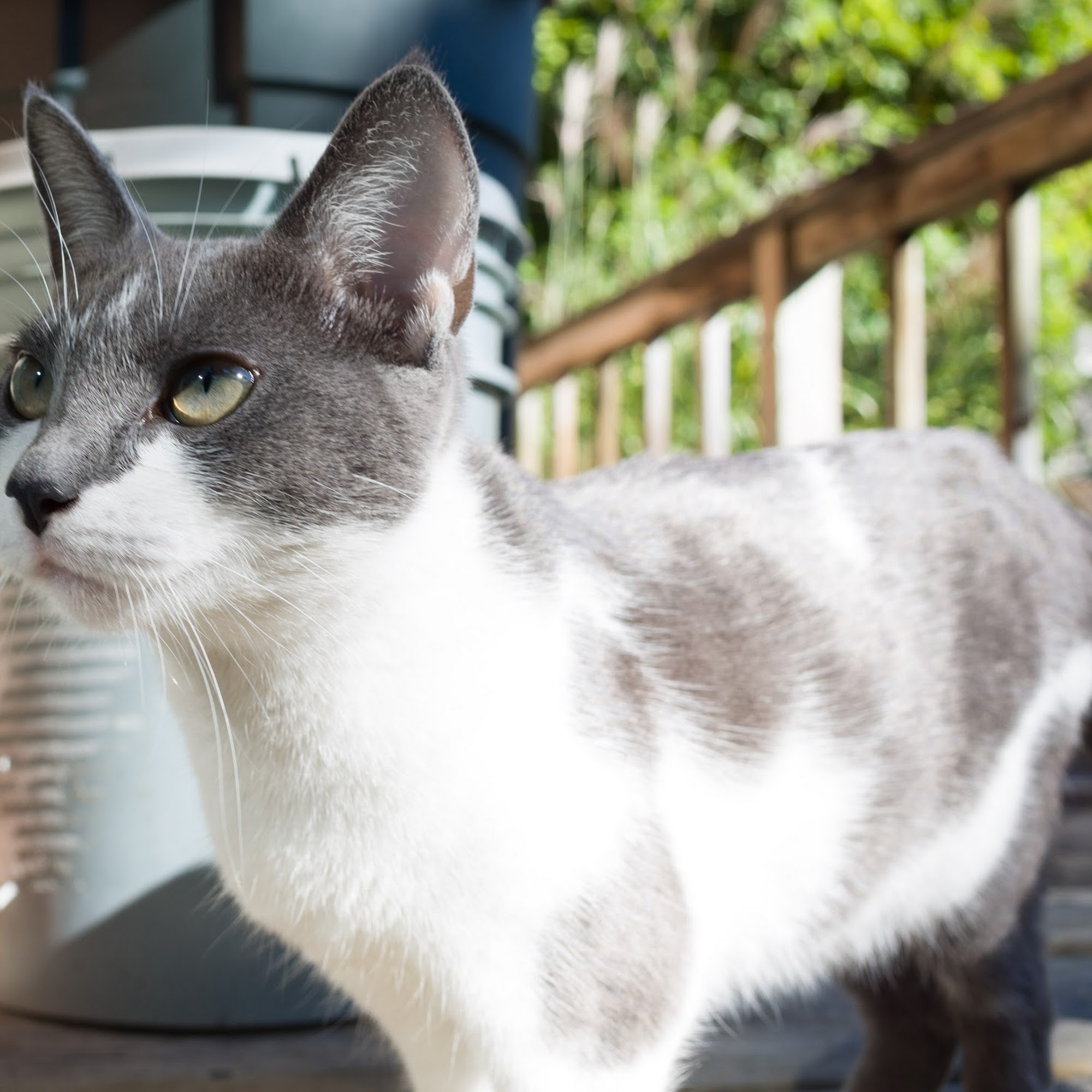 Heritage Acres Veterinary Services Owosso