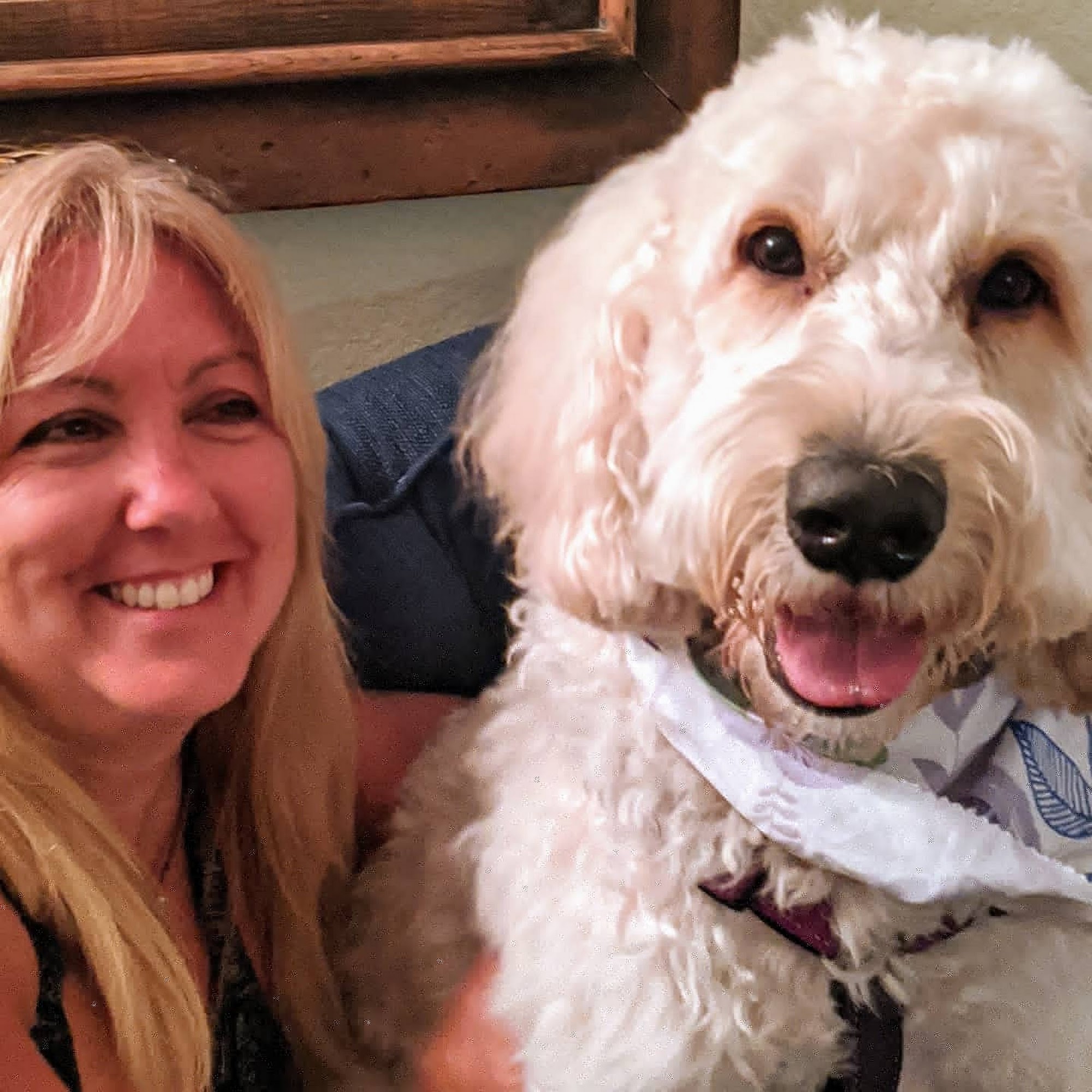 Animal Wellness & Medical Center of Oxford Oxford