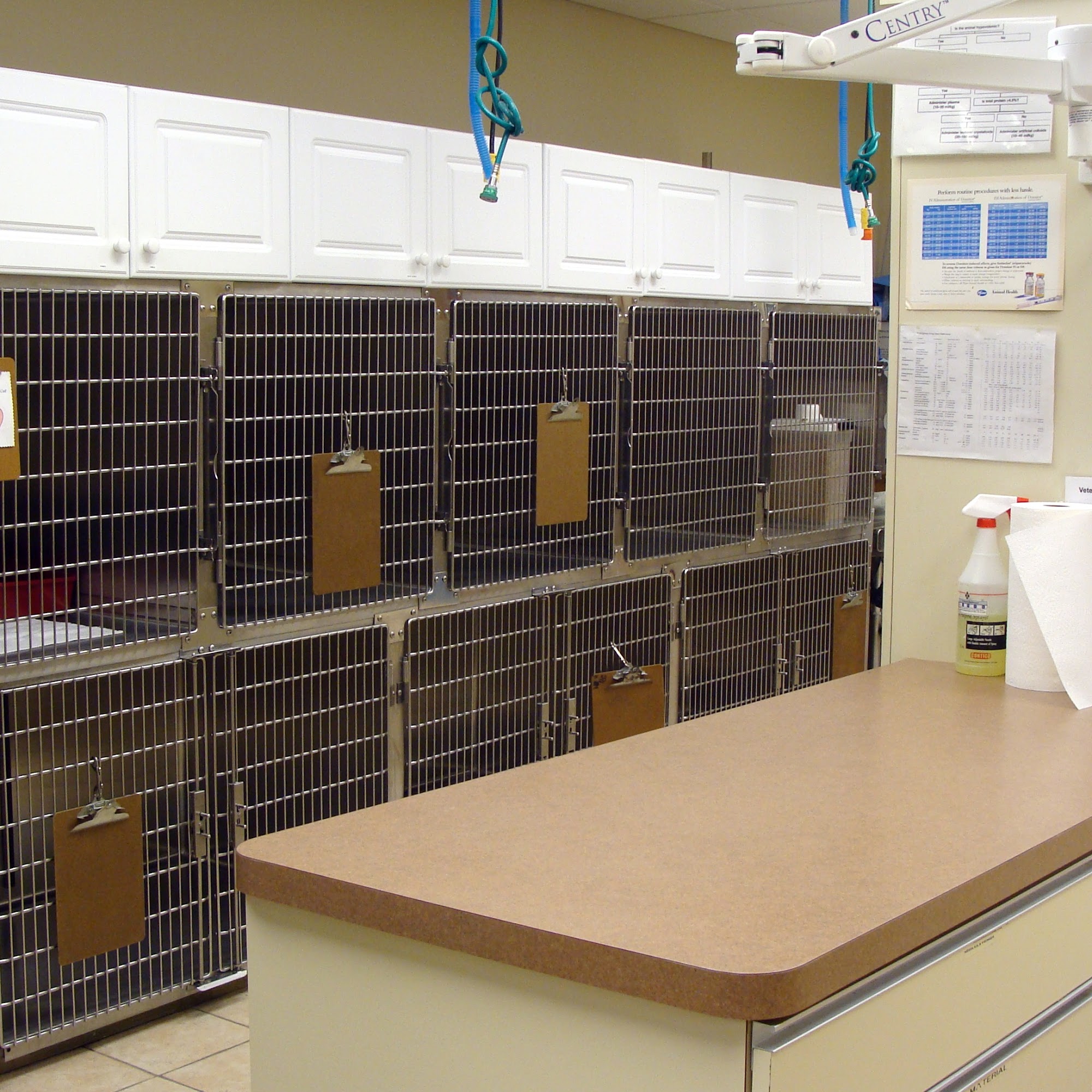 Oxford Veterinary Hospital Oxford